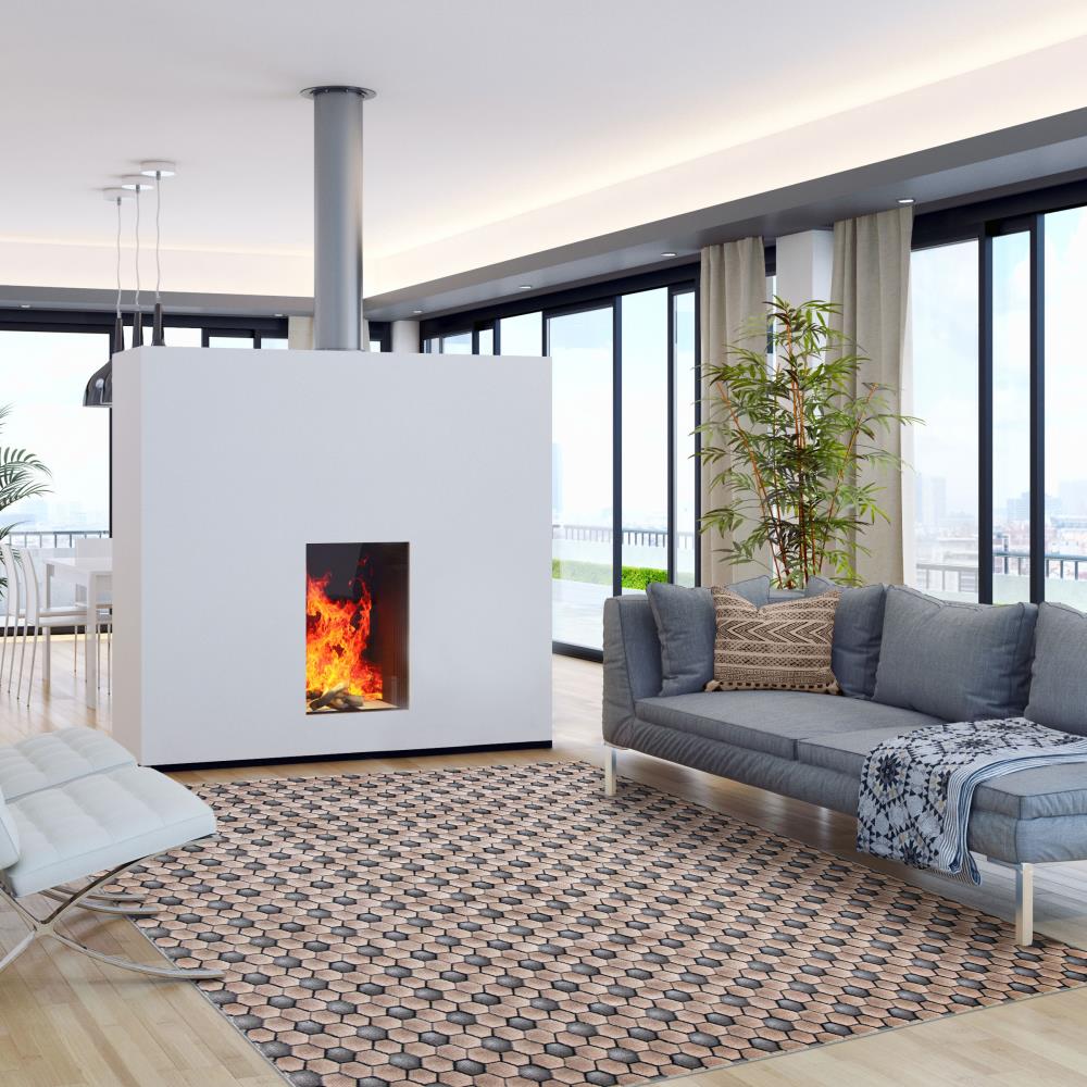 ECARPETGALLERY 347056 rugs - View #2