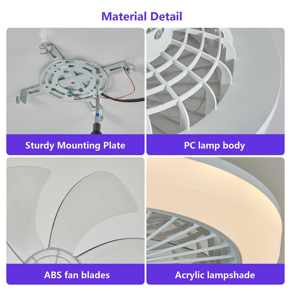 Tenleaf CEILING FANS0413-2-1 Ceiling-Fans - View #2