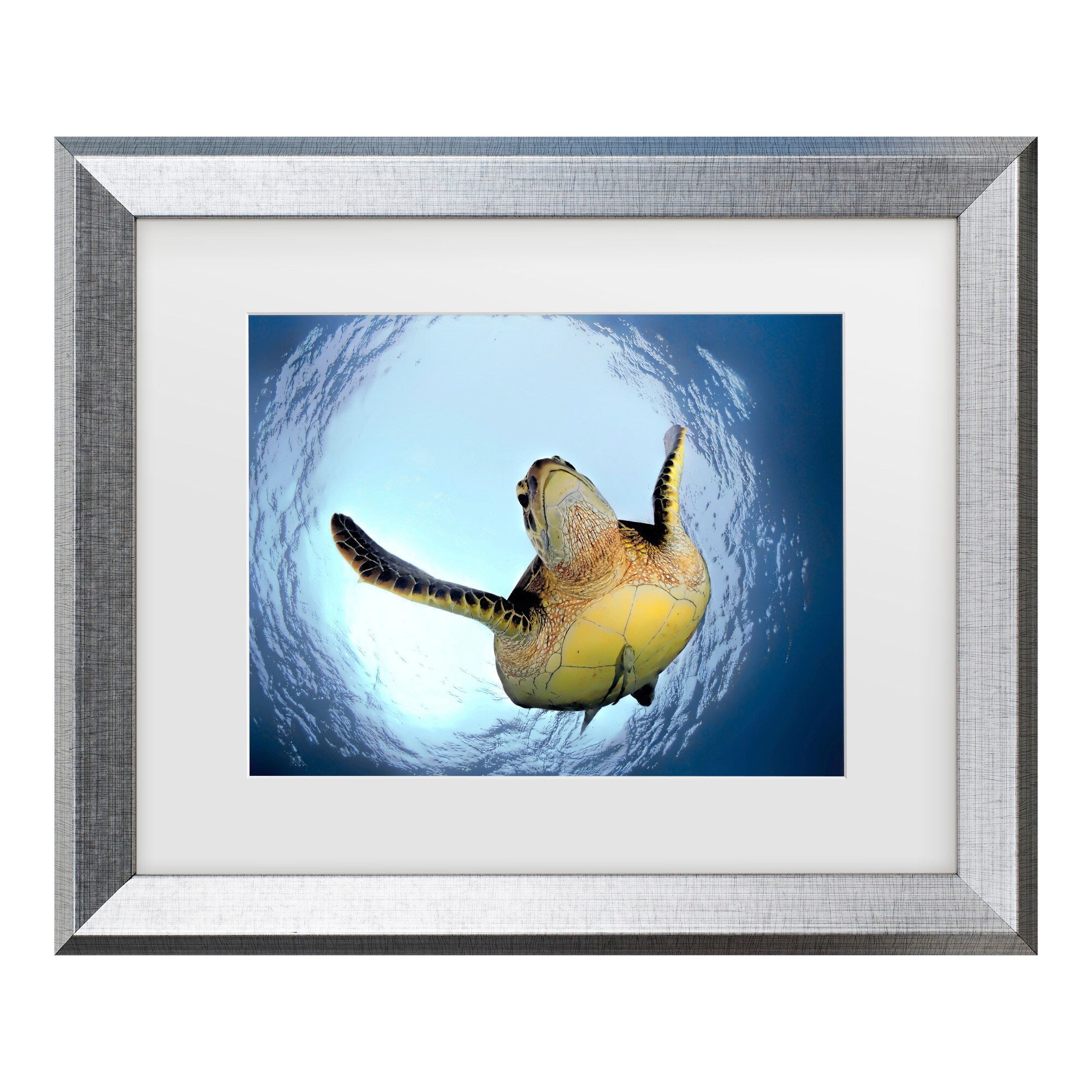 Silver Framed Green Turtle Canvas Print for Kids' Nursery