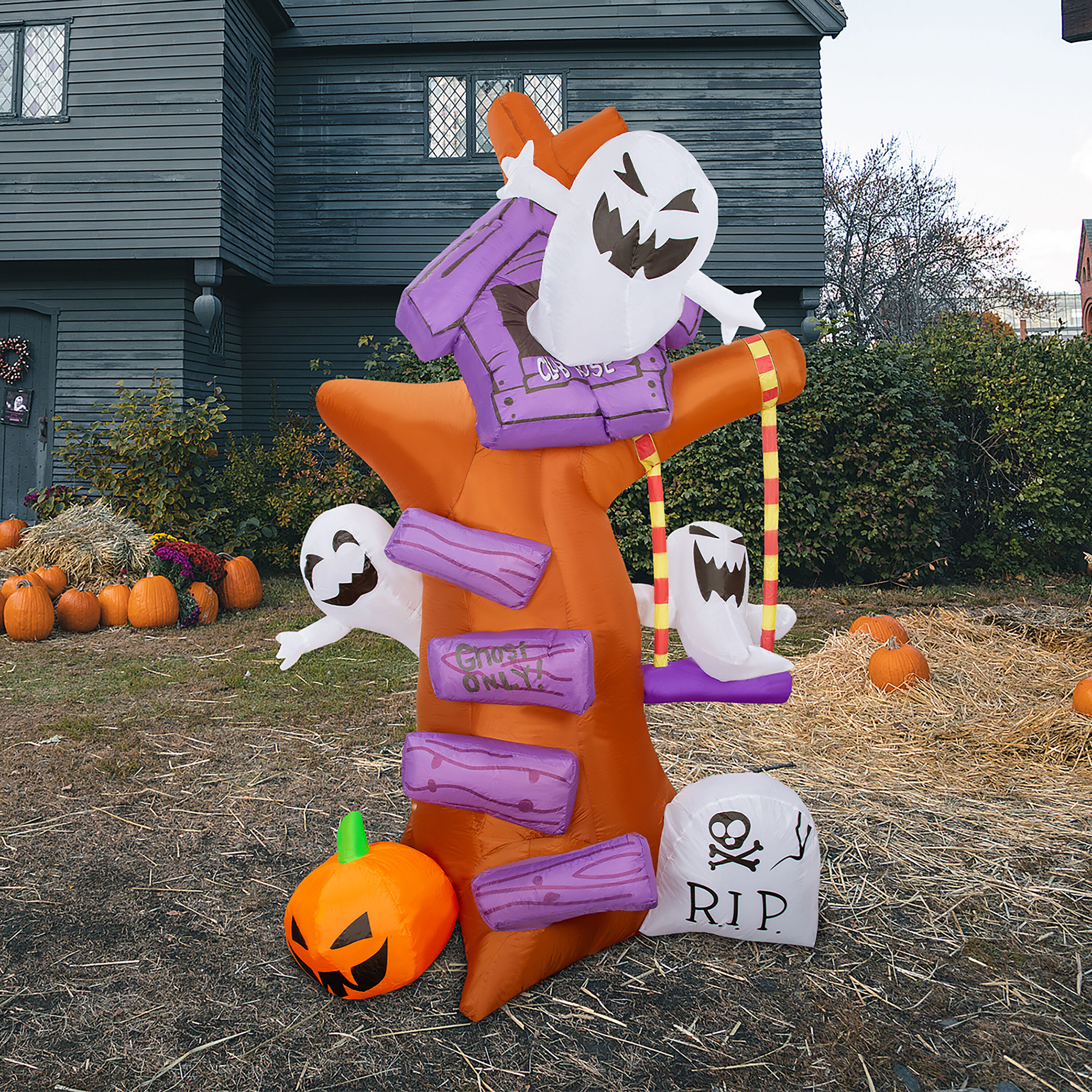 GOOSH DJ-WS-69170 Outdoor-Halloween-Decor - View #3