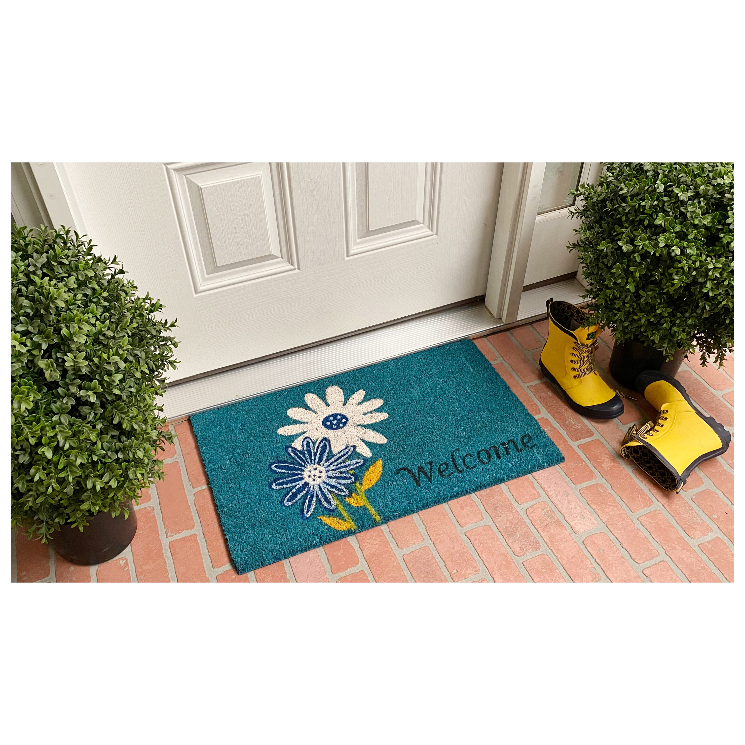 Callowaymills 121861729 Mats-Cat - View #2