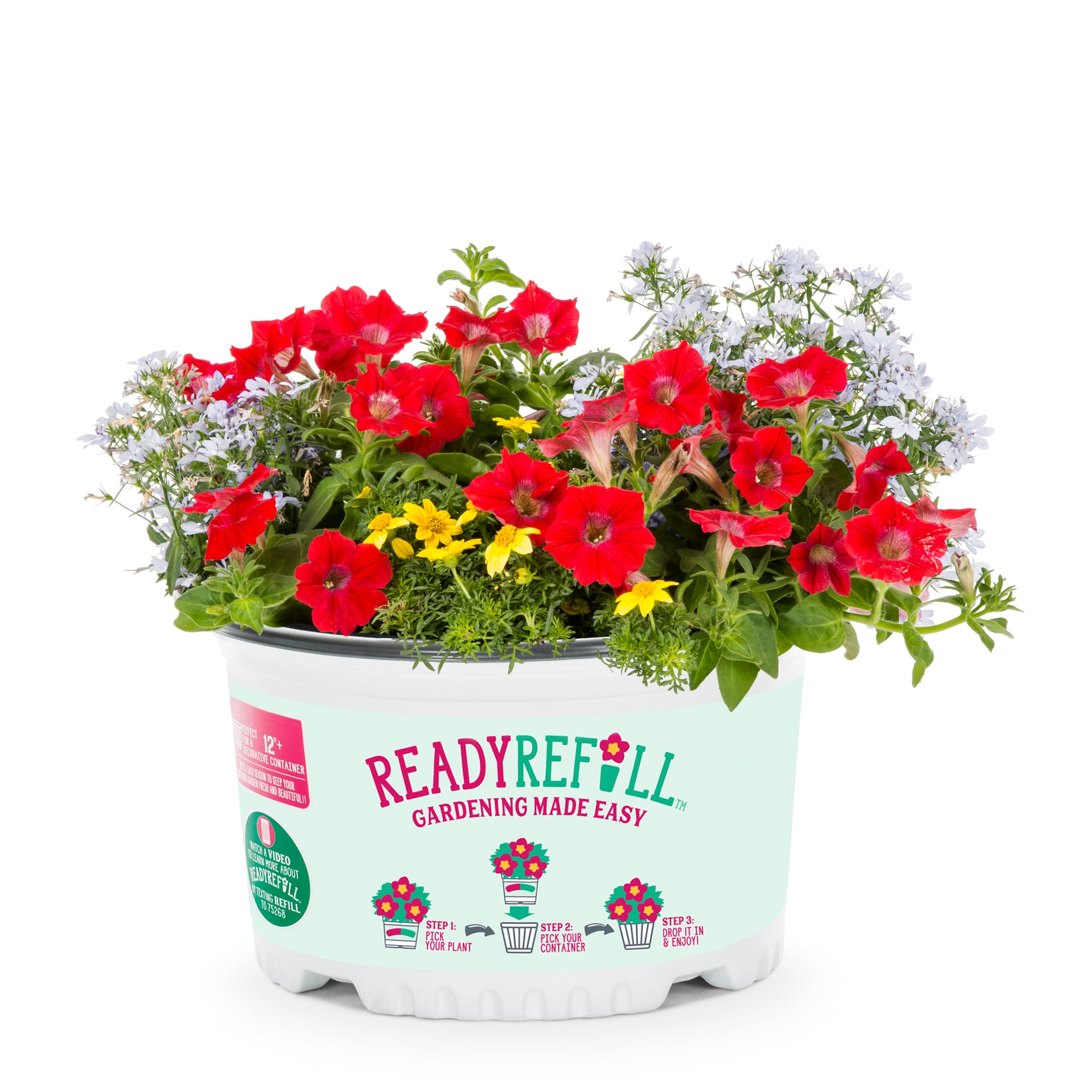 Ready Refill NURSERY Multicolor Fire N Ice in 1.5-Gallon Pot
