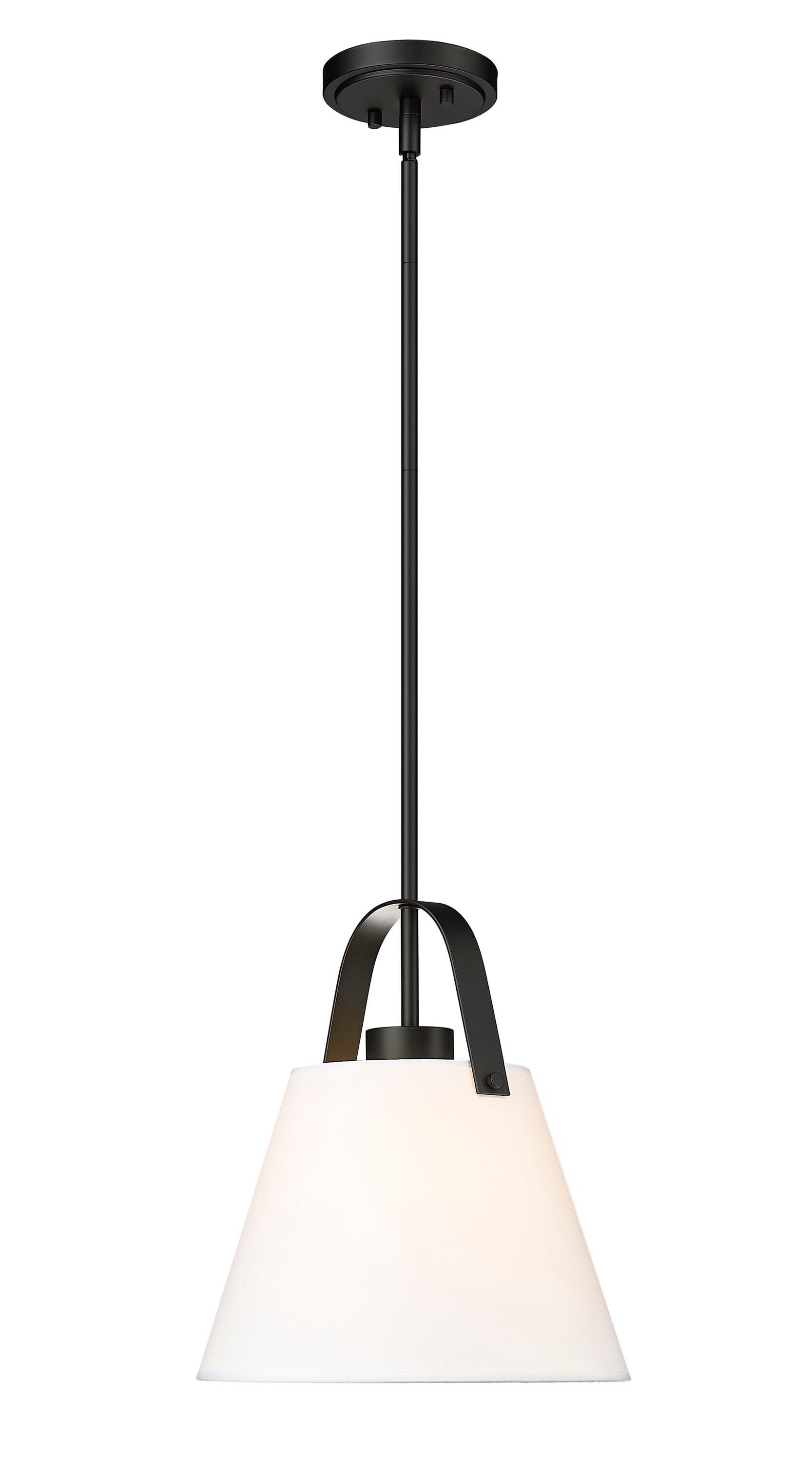 Z-Lite 743P12-MB Pendant-Lights - View #4