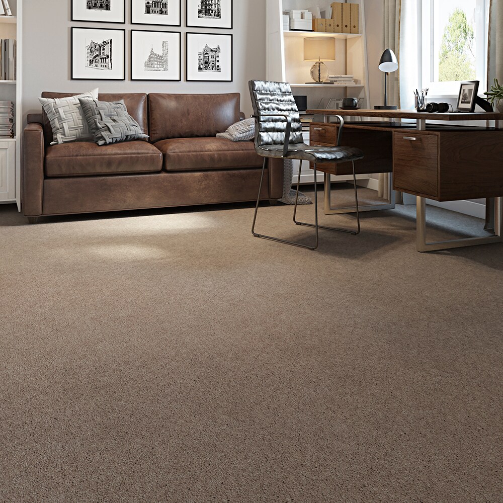 STAINMASTER STP43-12-L011 Carpet-Panel - View #3