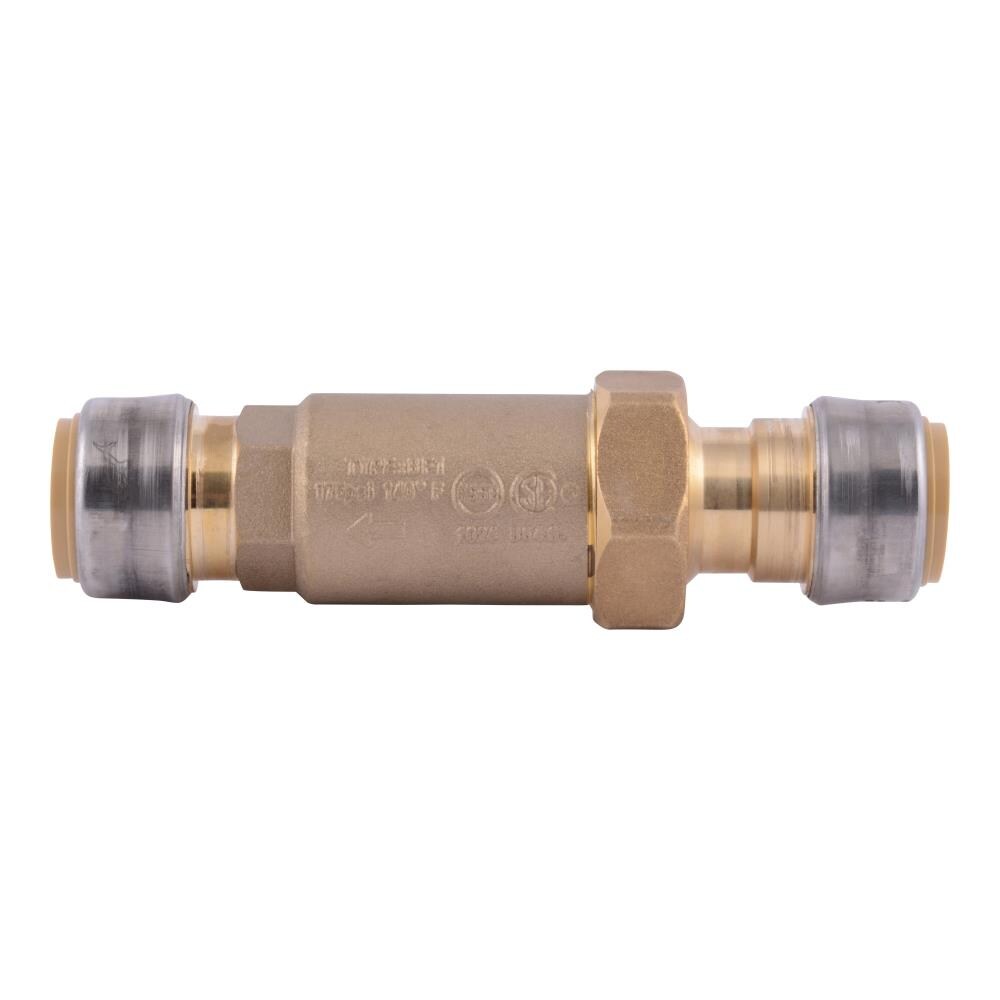 Double Check Valve  Briscoe Protective