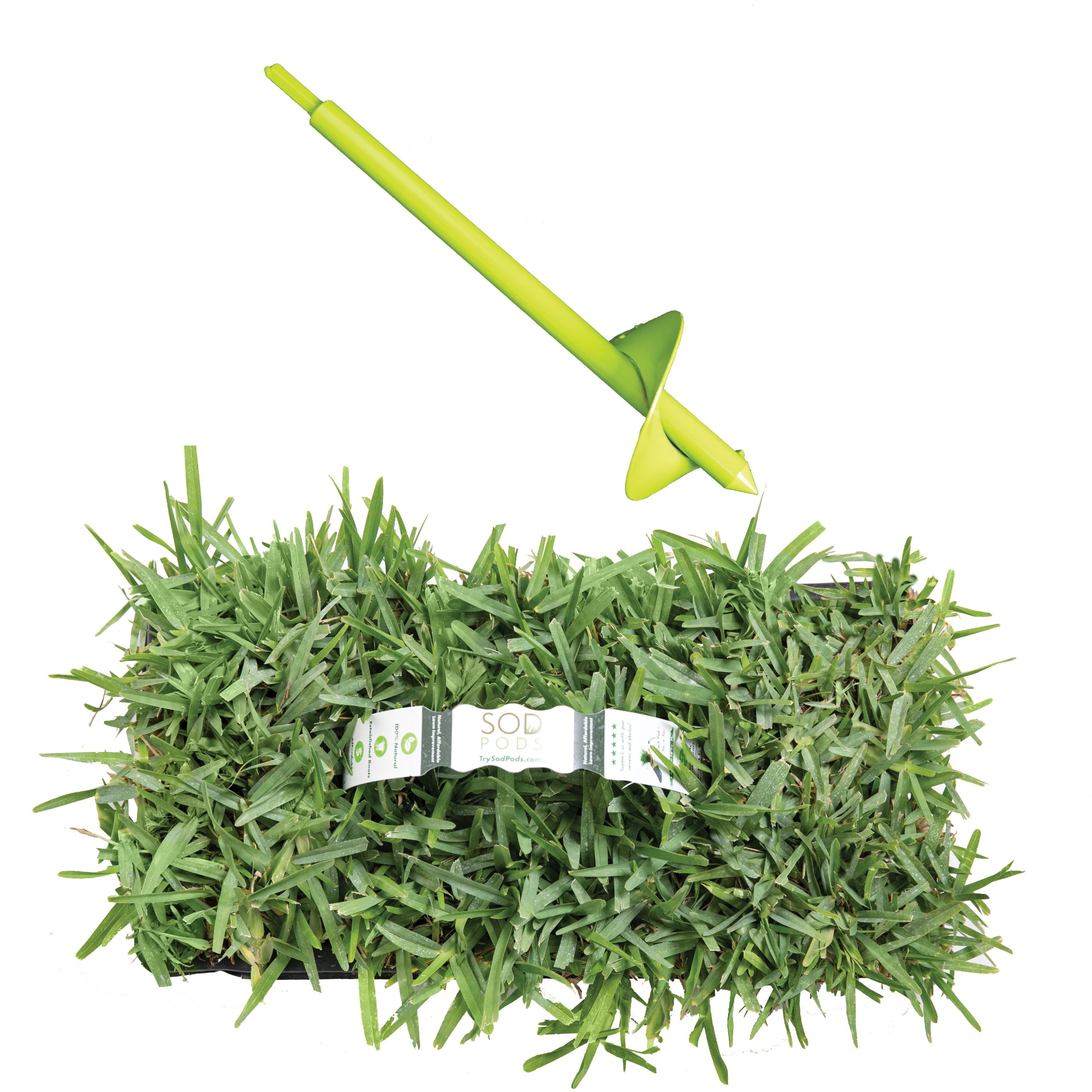 Bethel Farms BAUGT8TAM16NP sod - View #7