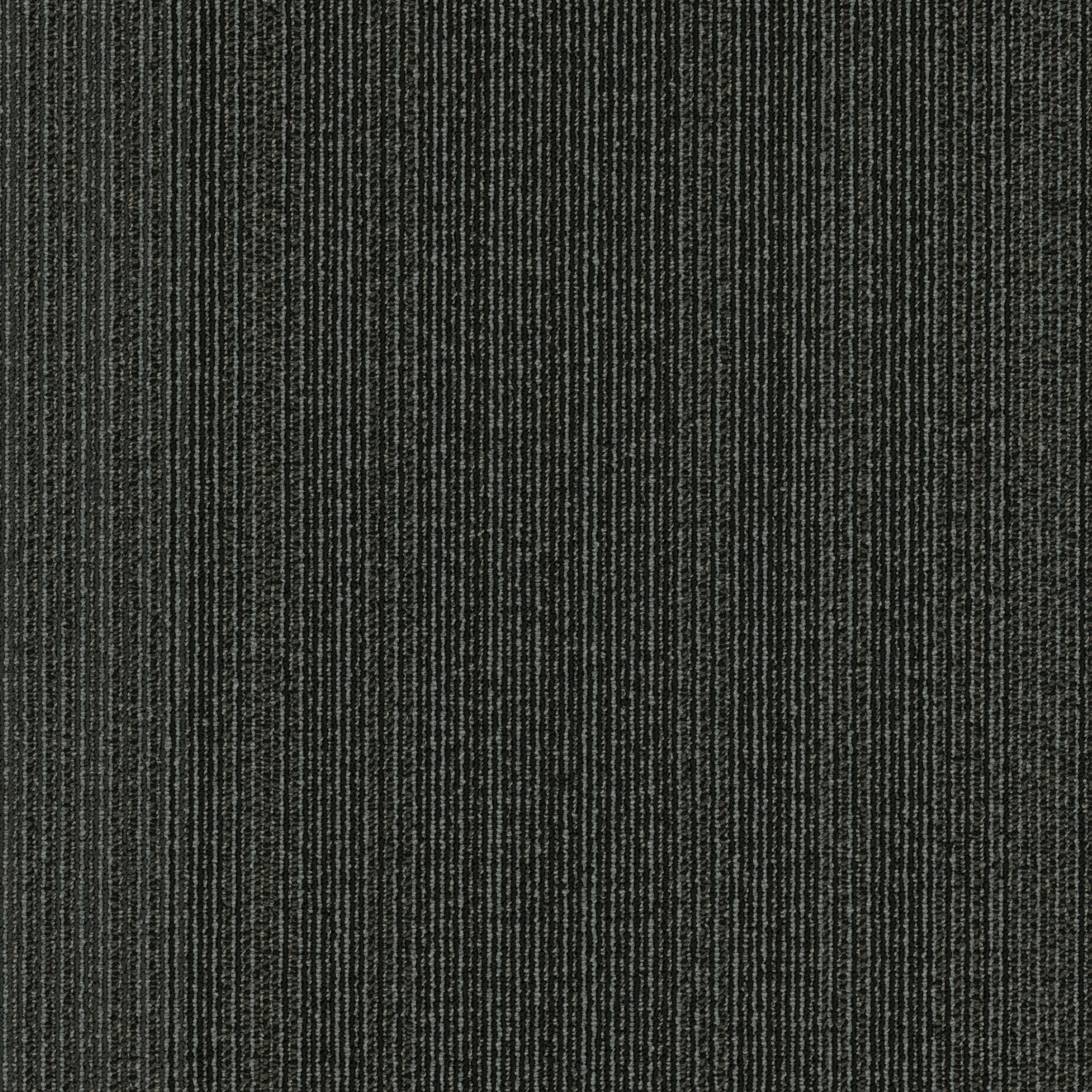 Shaw 7P0UW00510 Stavya 24-in x 24-in Boost Black Commercial Adhesive Indoor Carpet Tile ( 80-sq ft )