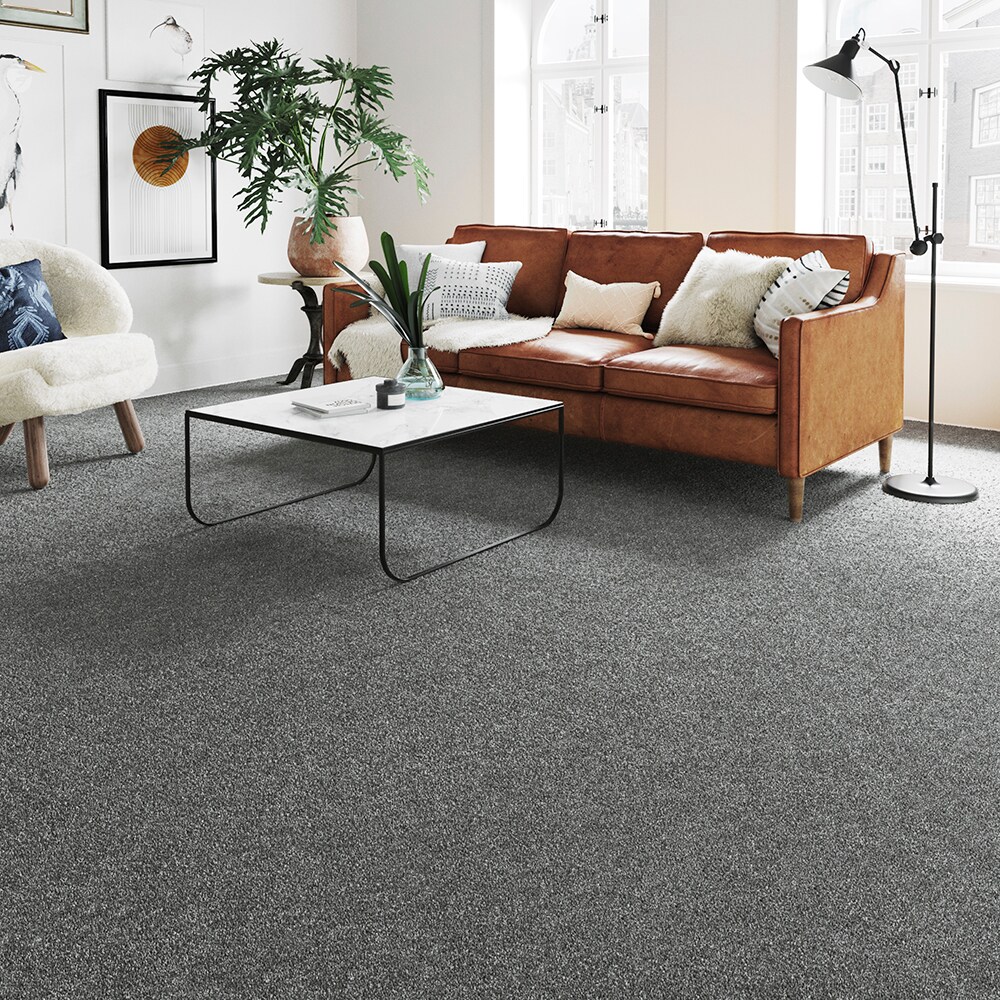 STAINMASTER STP58-L001-0808 Carpet-Samples - View #3