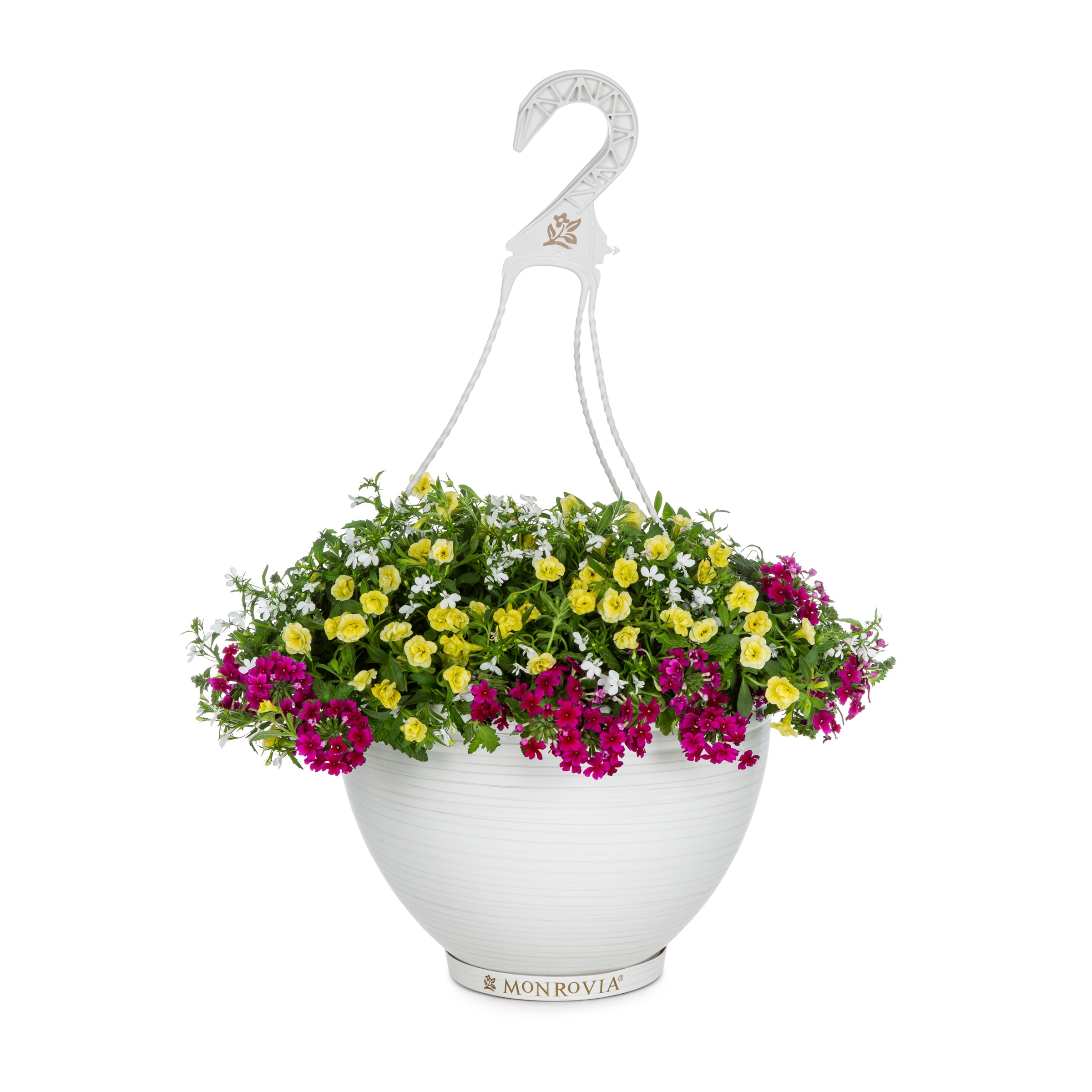 Monrovia Planter Annuals at Lowes.com