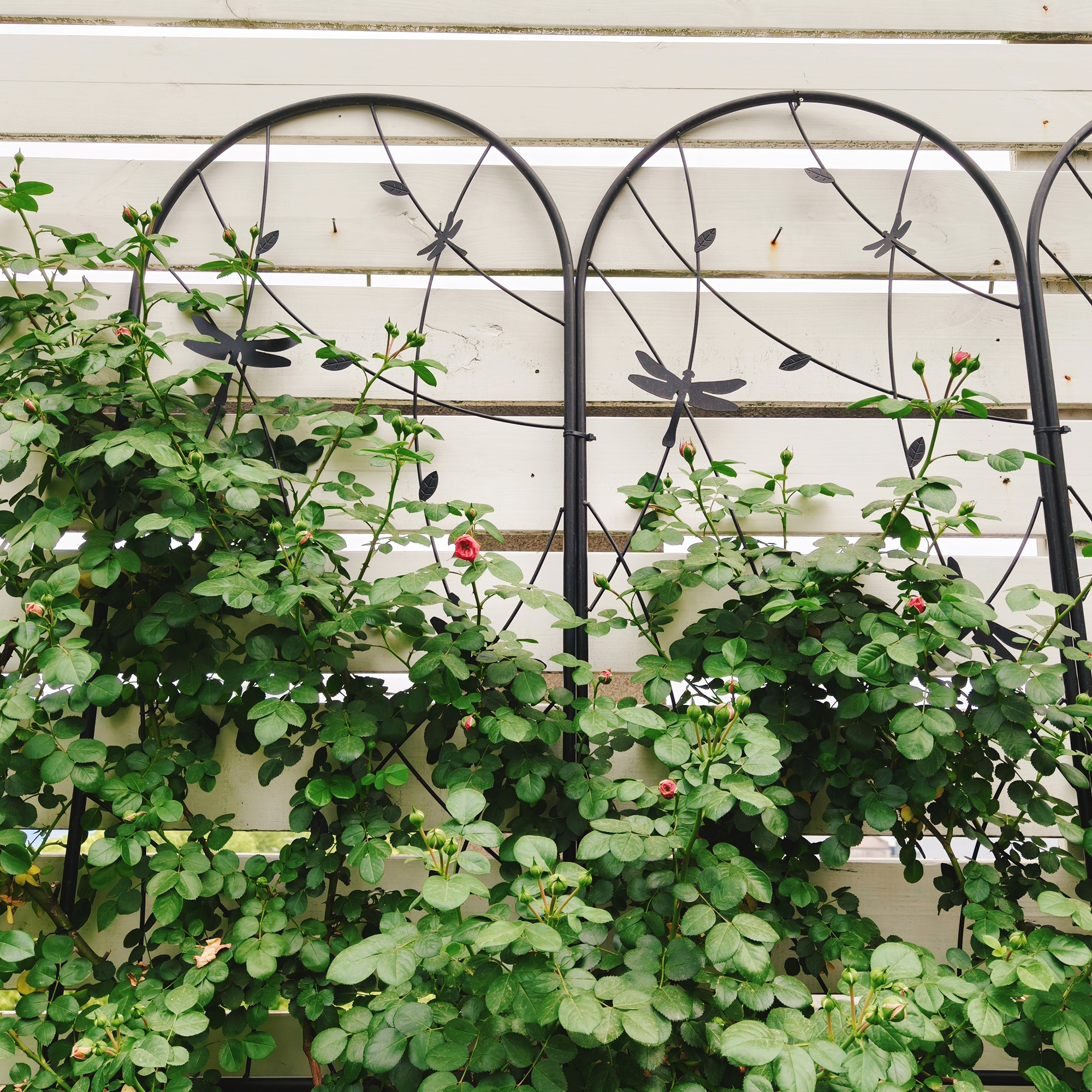 Tatayosi T6P268045 Garden-Utility-Fencing - View #5