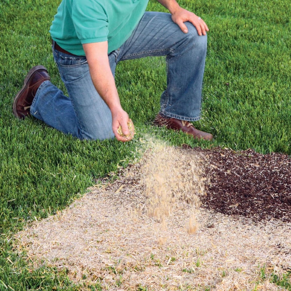 EZ Straw MLEZLRM11SUNSHD Lawn-Repair-Mix - View #5
