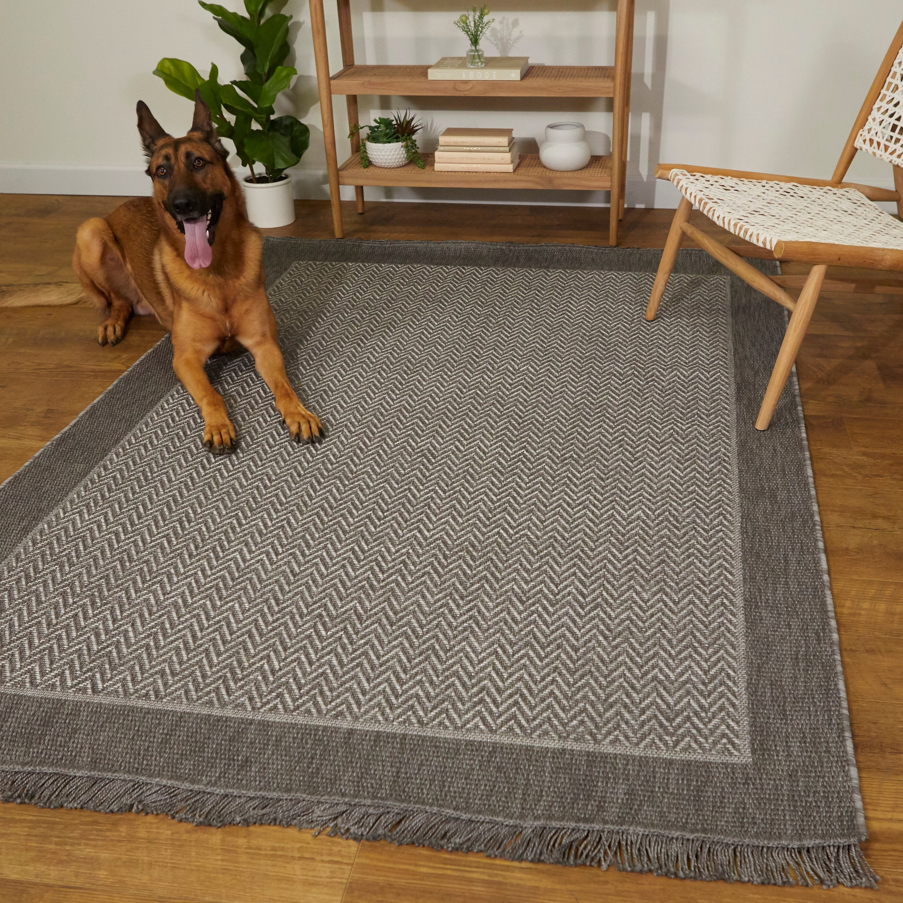 allen + roth with STAINMASTER 3008196 rugs - View #9