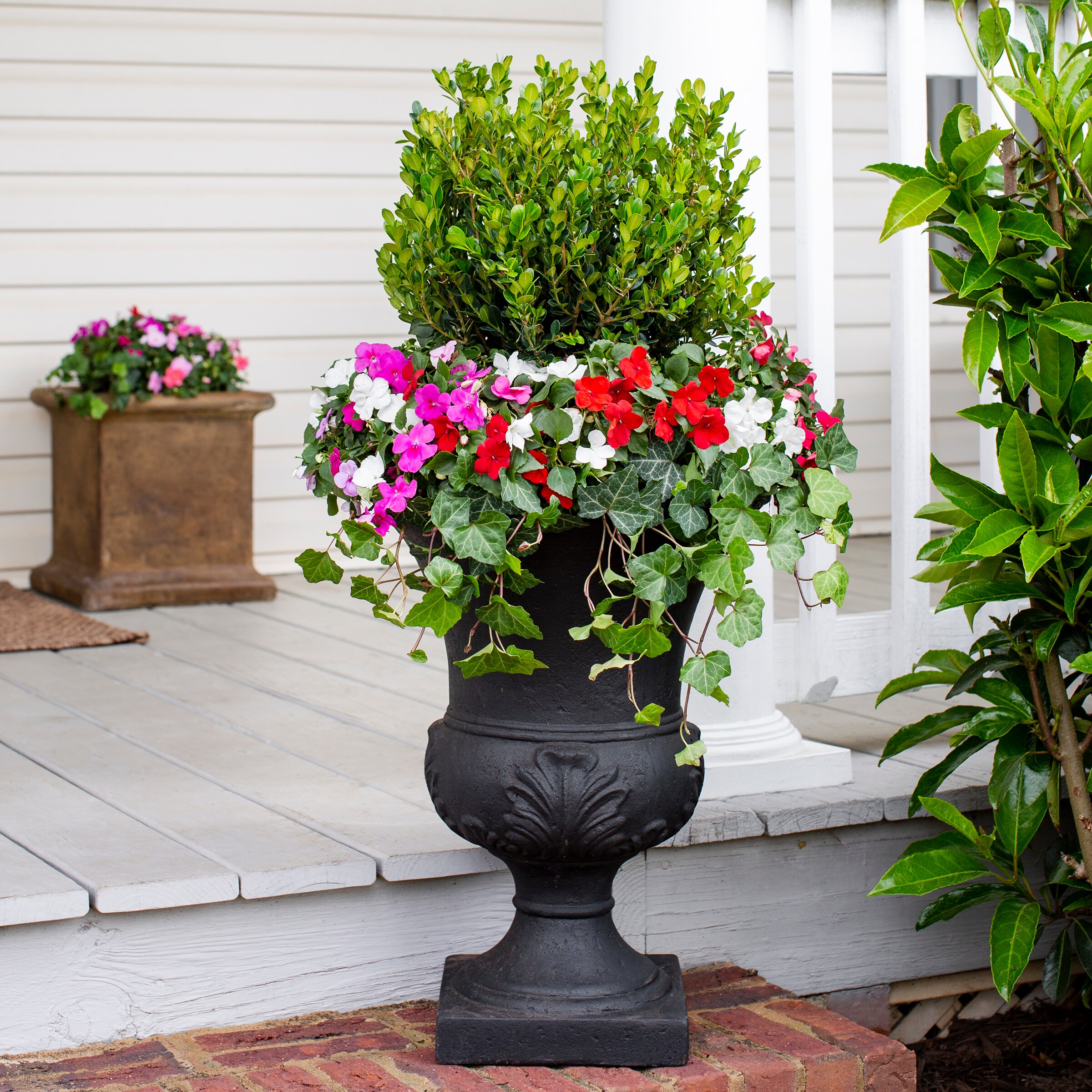 Metrolina Greenhouses 4967 annuals - View #4