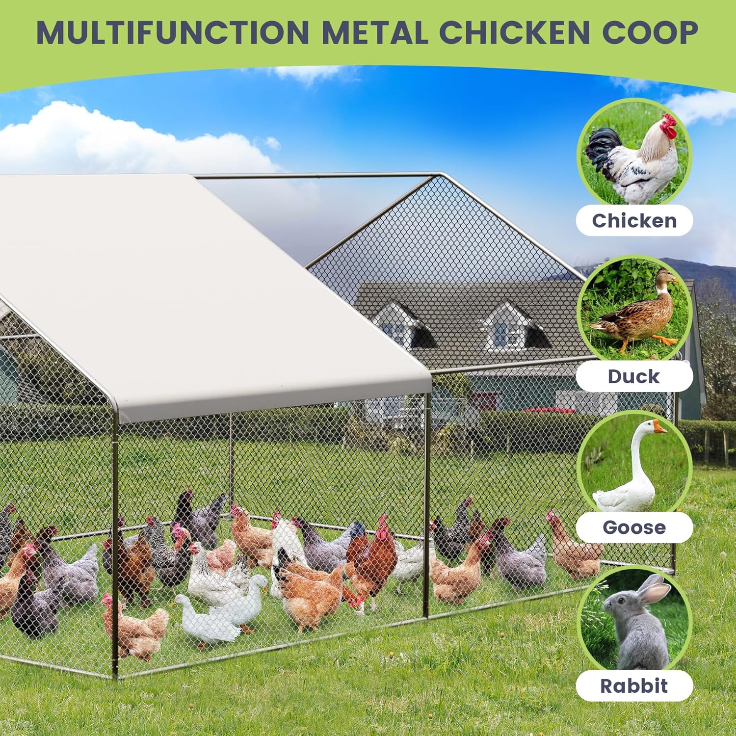 Qeetex ZYFLPHO-12VJL8OG Chicken-Coops-Rabbit-Hutches - View #5