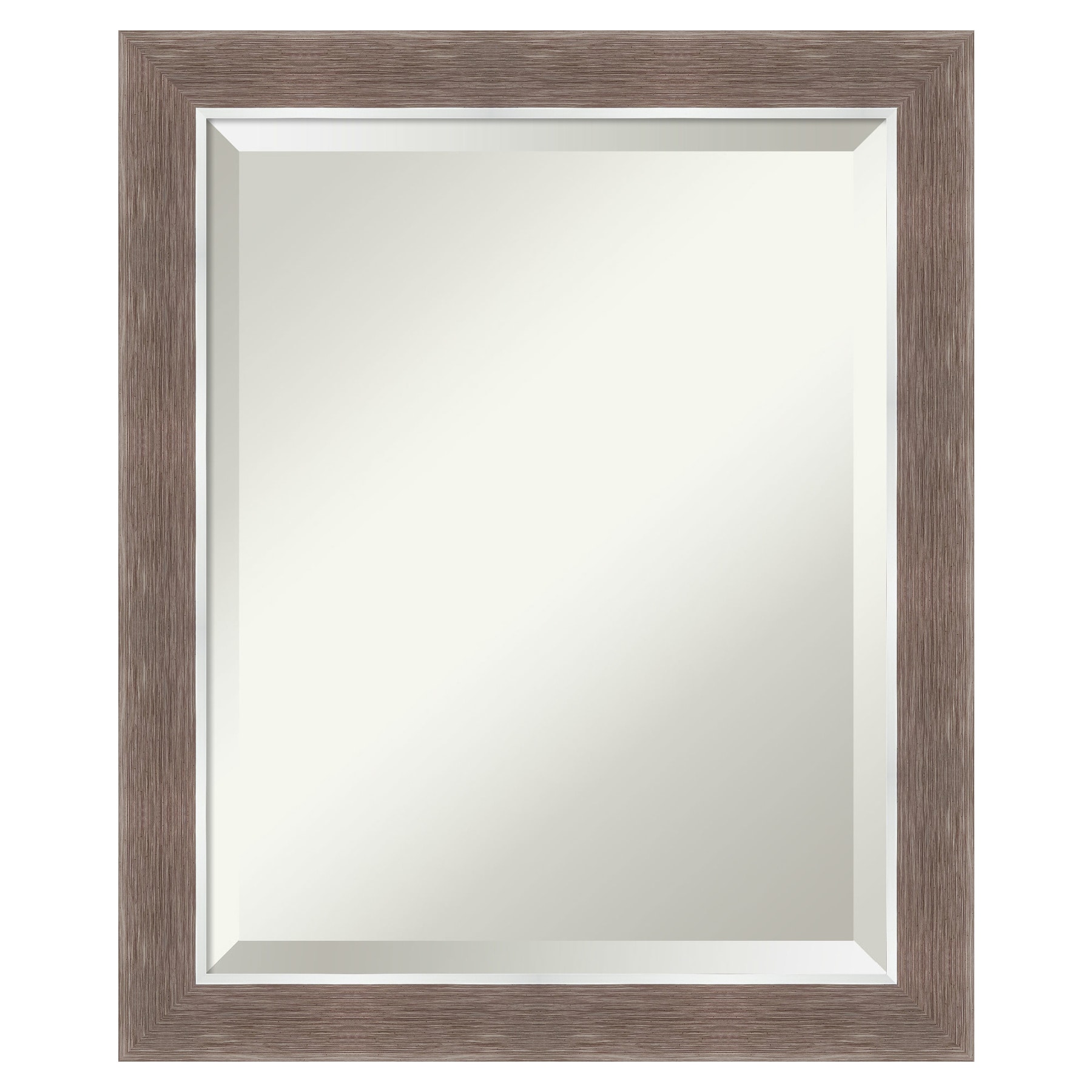 Amanti Art DSW4960755 Noble 19.5-in x 23.5-in Polished Rectangle Bathroom Vanity Mirror ( Brushed Brown,Silver )