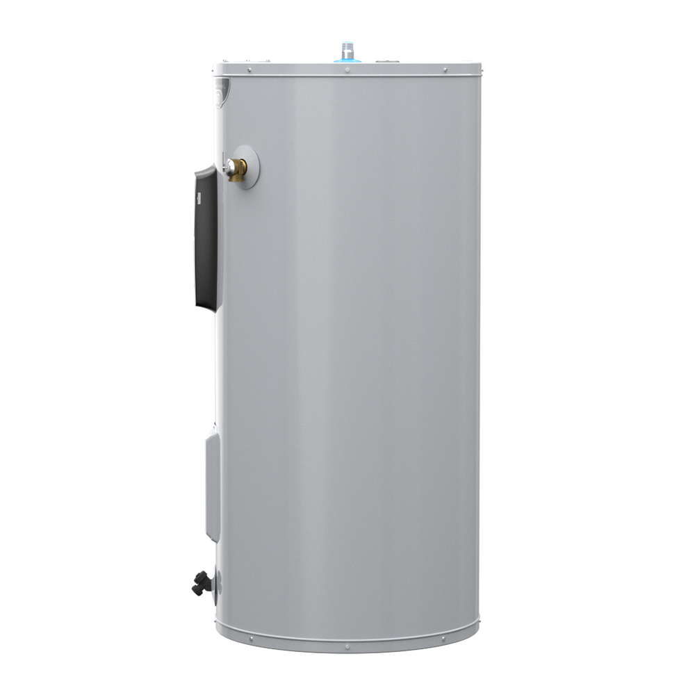 A.O. Smith Signature 100 30-Gallon Tall 6-year Warranty 4500-Watt Double  Element Electric Water Heater in the Water Heaters department at