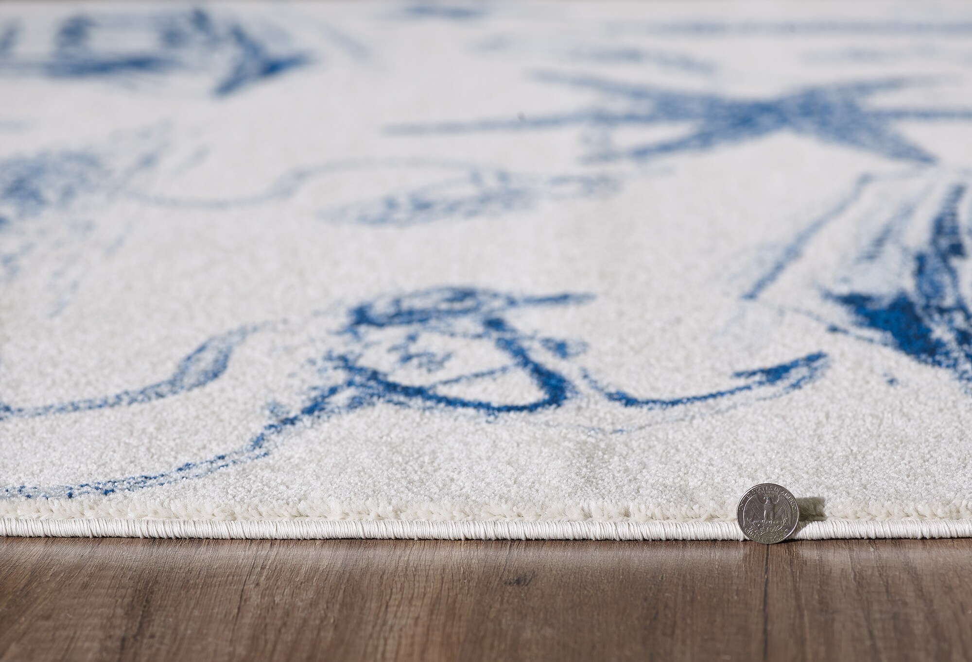 Everyday Woven EVE626953X77 rugs - View #6