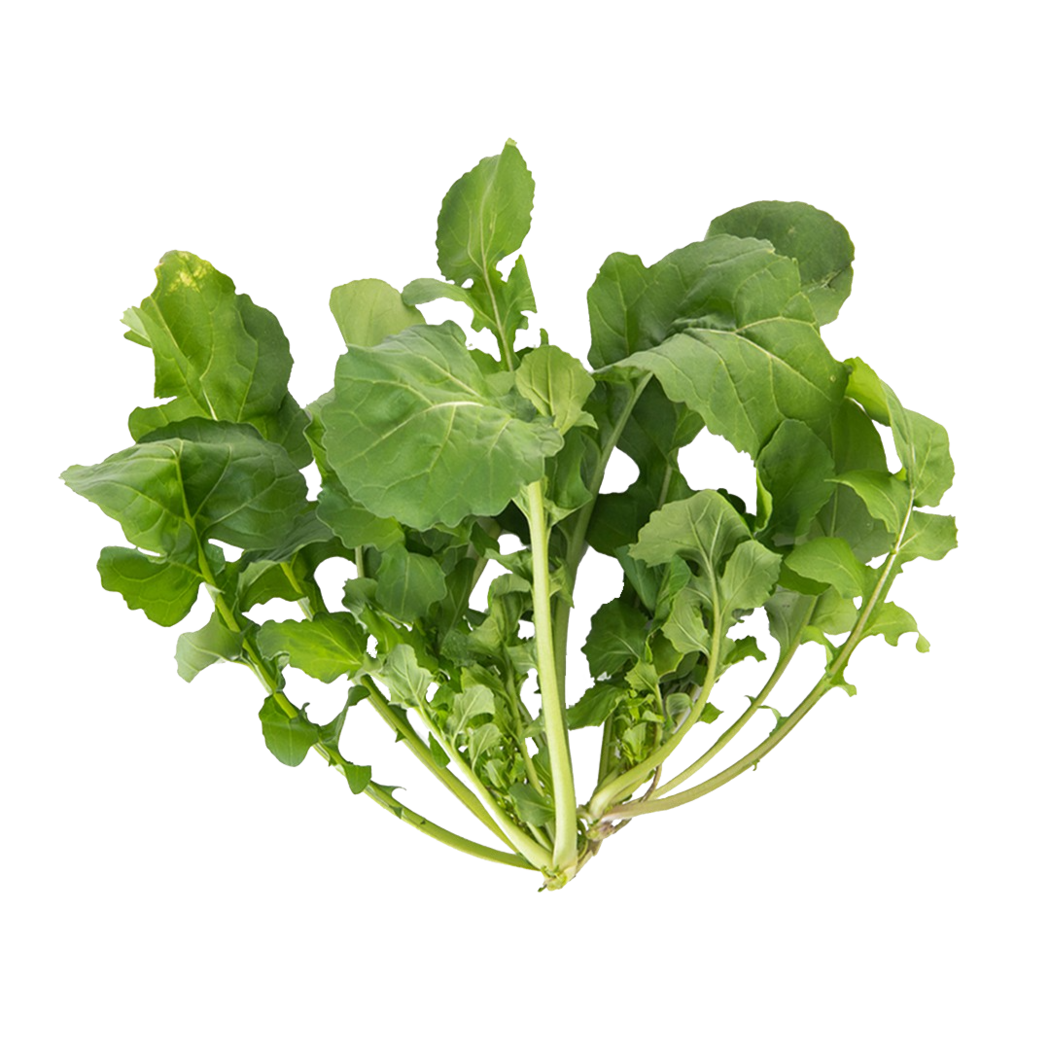 Lettuce Grow SO-SV-12-107603 Astro Arugula Bareroot Plant 12-Pack