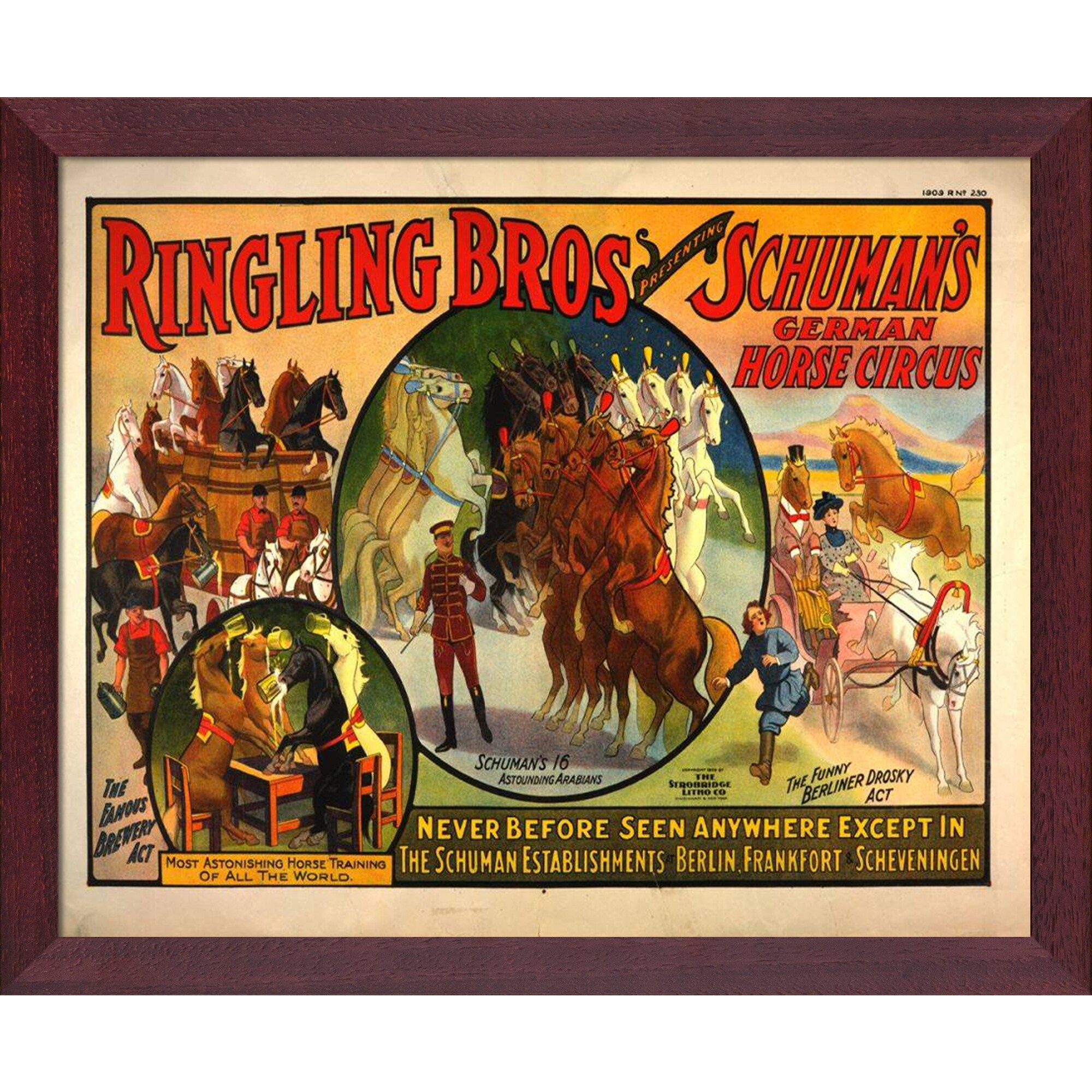 ArtistBe 688576908809 Ringling Brothers National Public Library Natural Wood Framed 18.5-Inches H x 22.5-Inches W Figurative Canvas Print