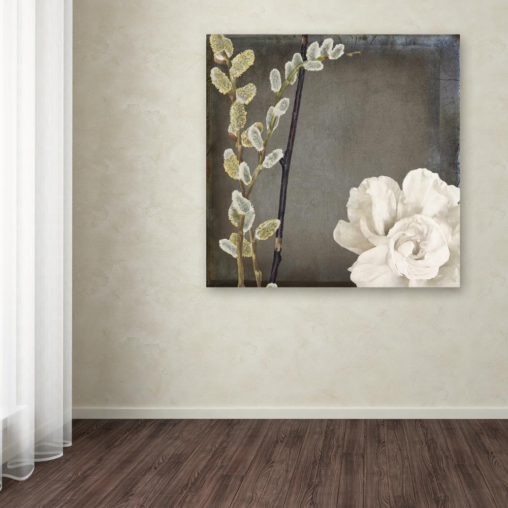 Trademark Fine Art ALI4817-C3535GG Wall-Art - View #3