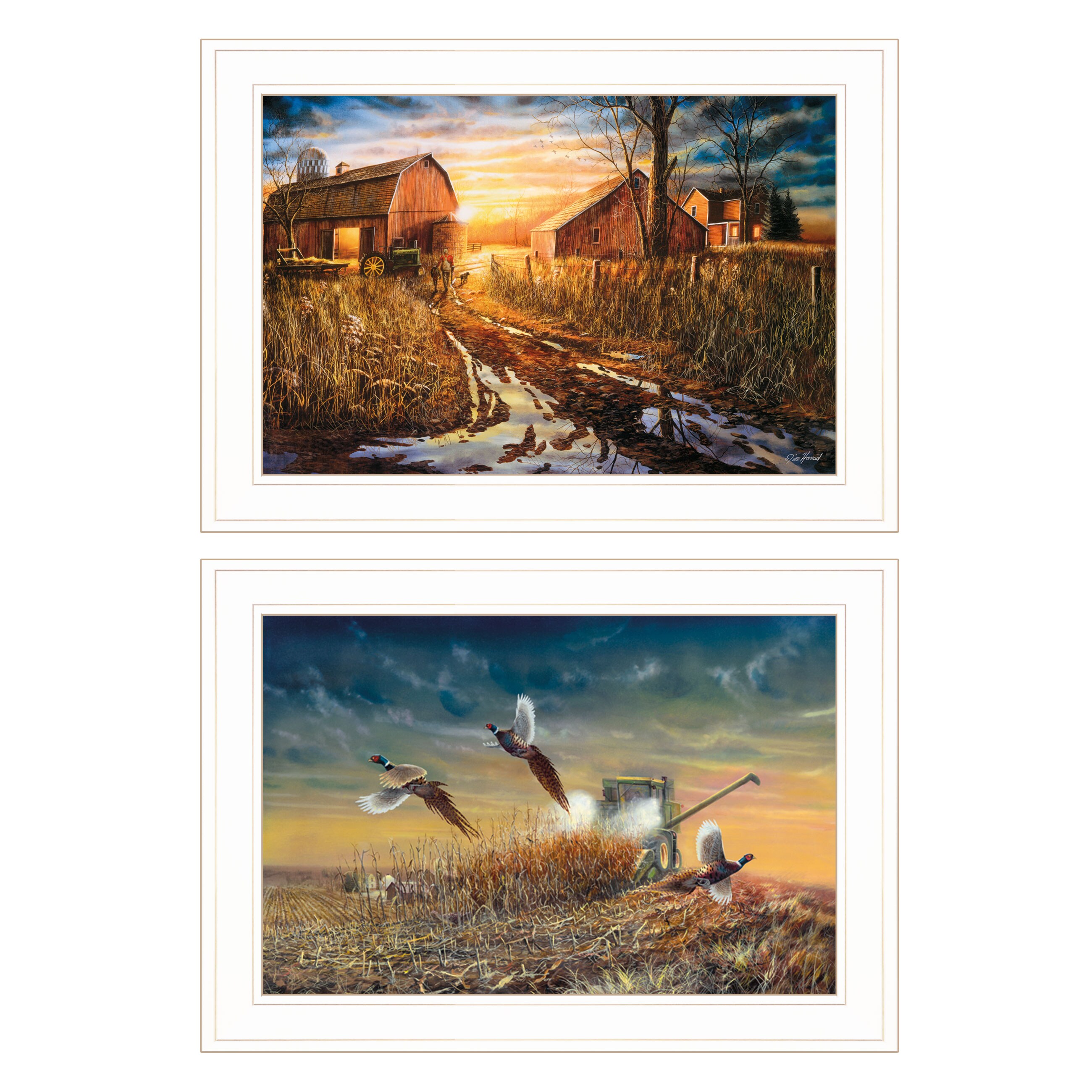 Trendy Decor 4U VJH382-226G -Day Not Forgotten Collection Jim Hansen White Wood Framed 15-in H x 21-in W Garden Paper Print