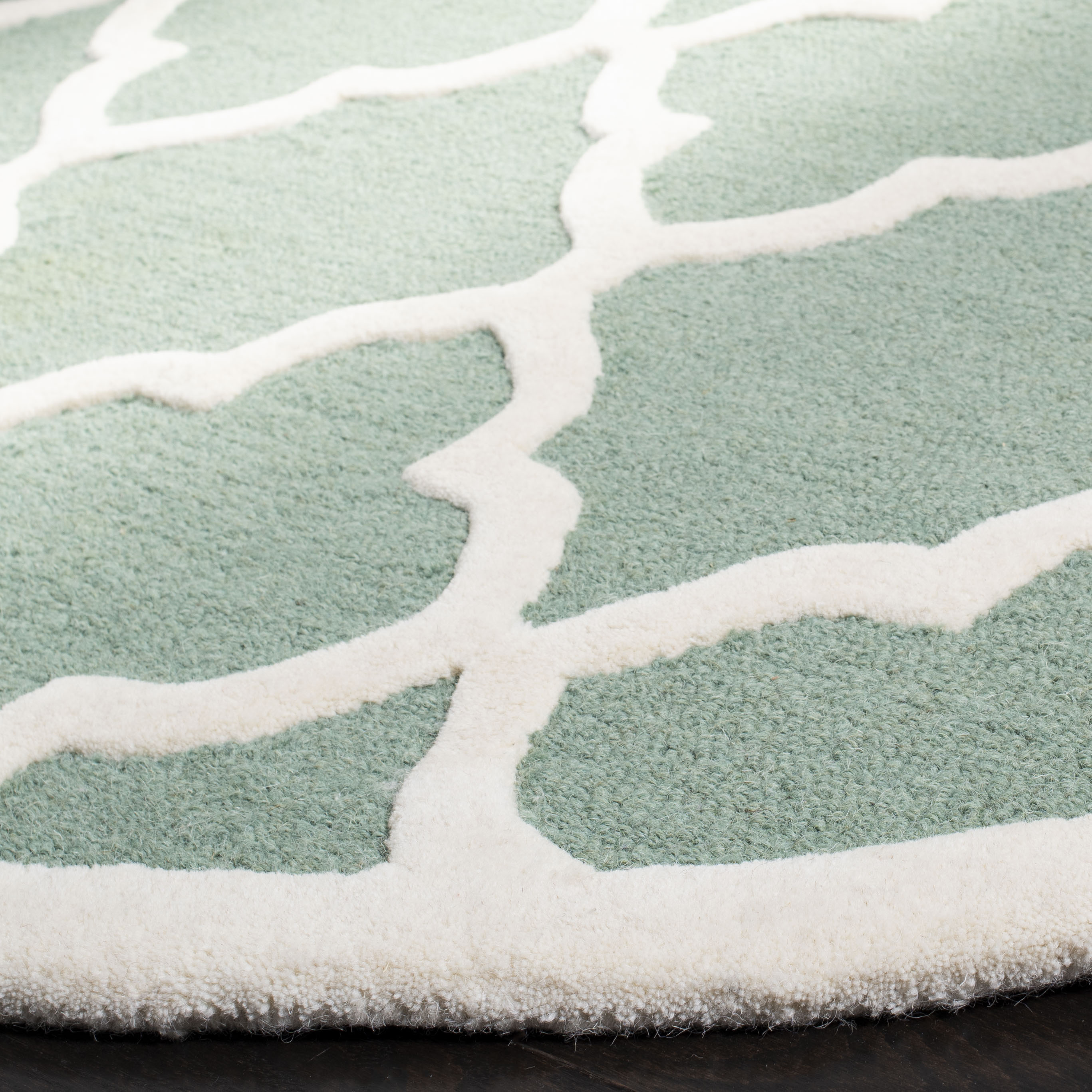 Safavieh CAM312T-6R rugs - View #3