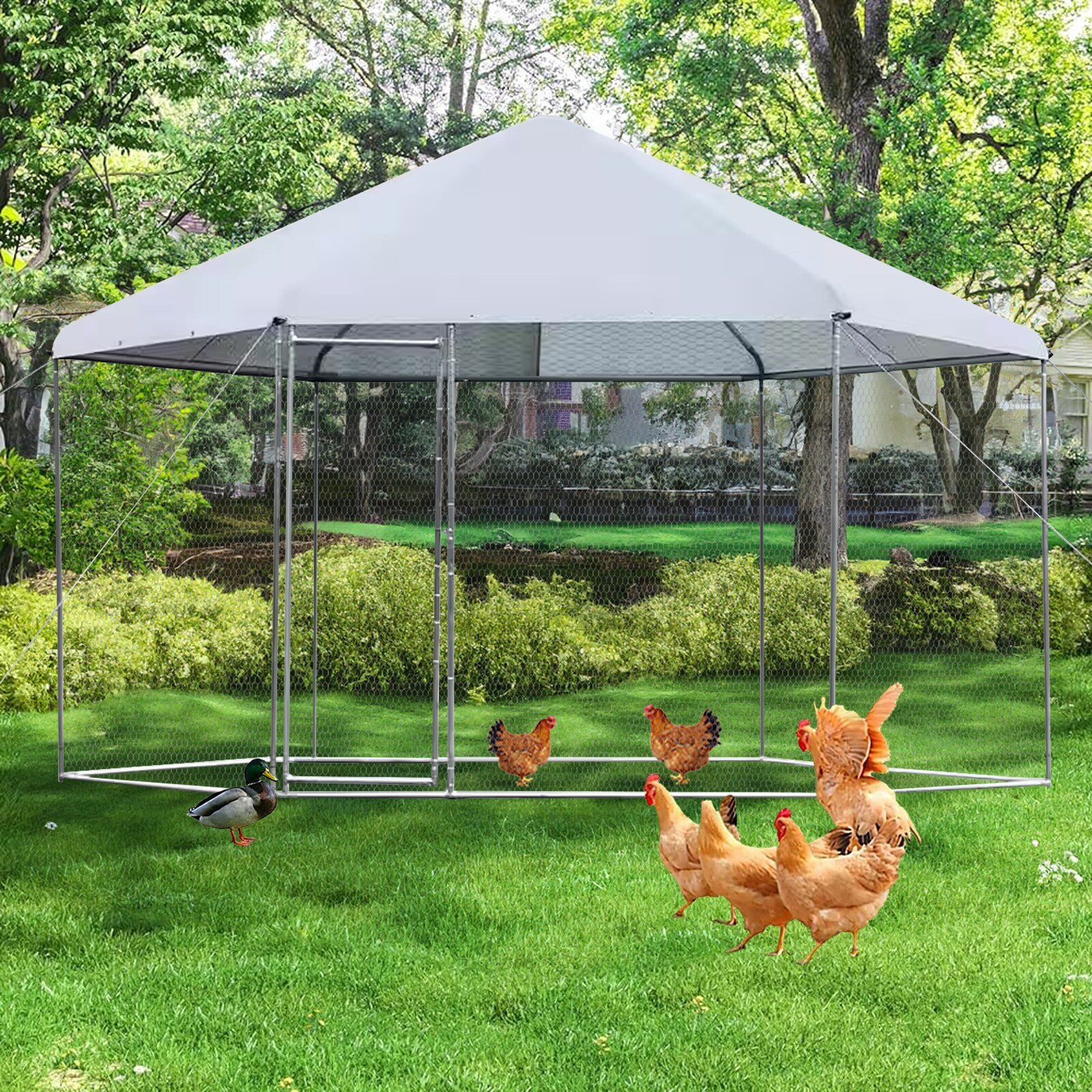 Maocao Hoom JL133465 Chicken-Coops-Rabbit-Hutches - View #2