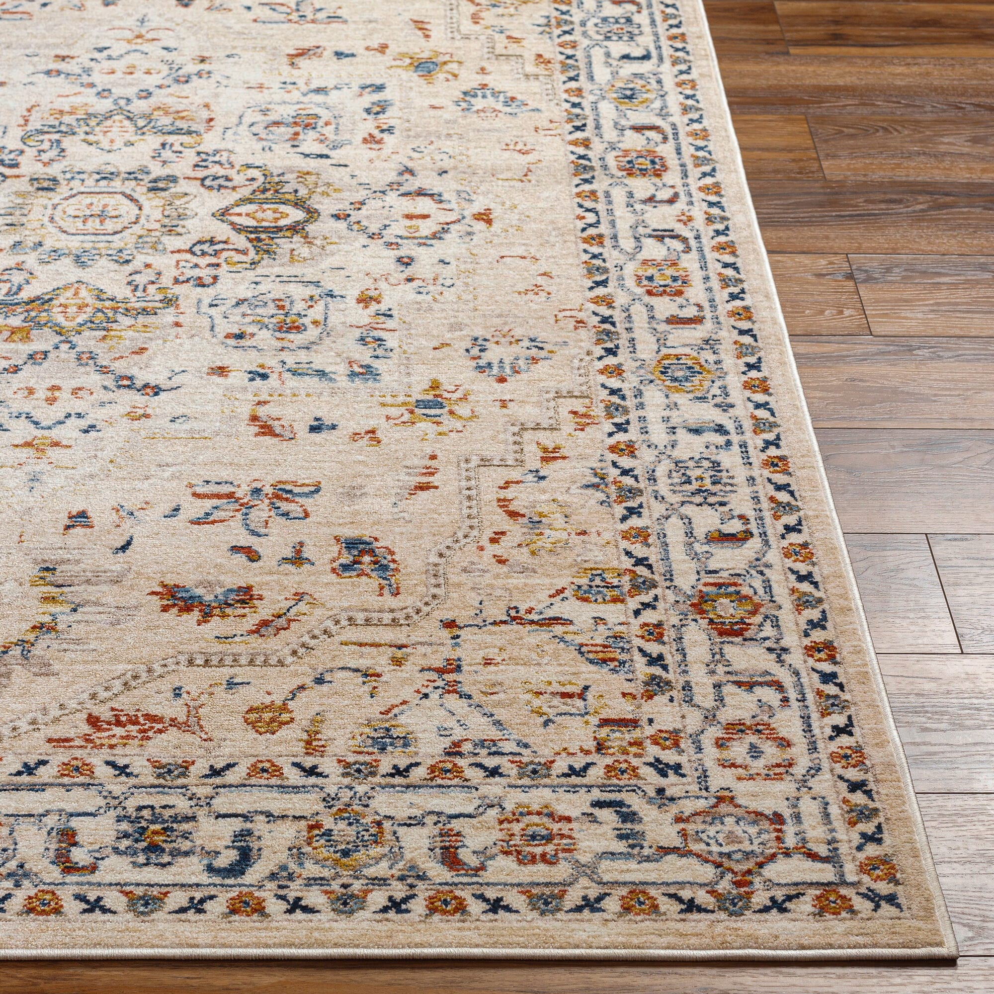 Livabliss TRV2304-239 rugs - View #2
