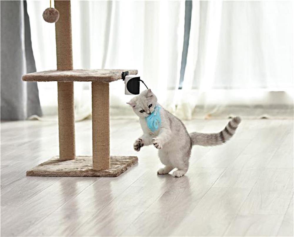 Dogness 843775109611 Dog-Toys - View #4