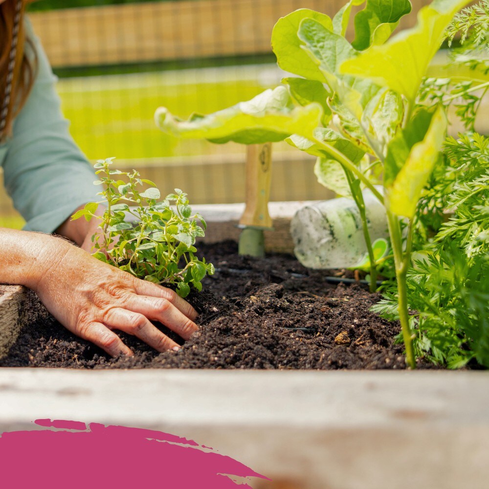 Kellogg 687 Garden-Soil-Soil-Amendments - View #6