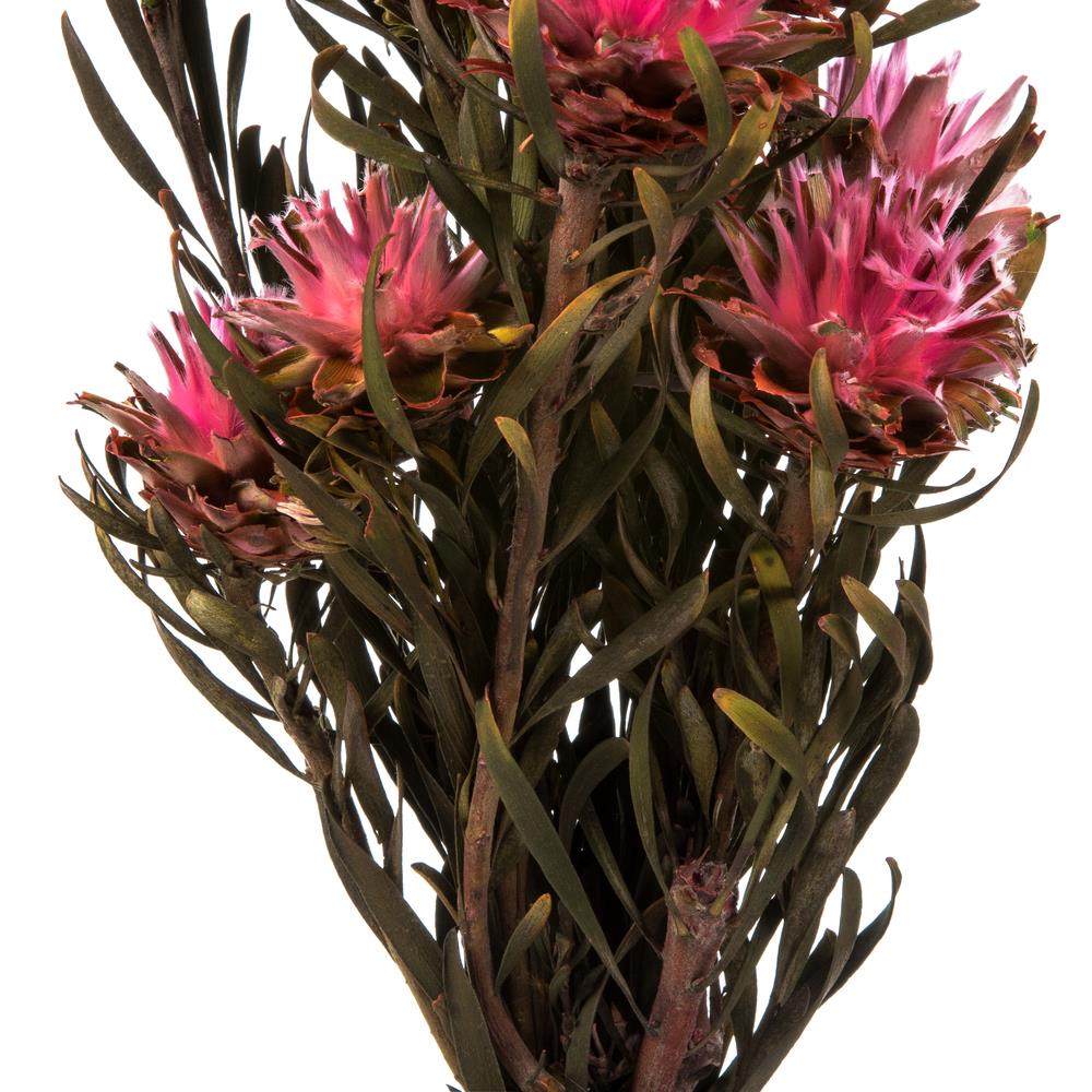 Vickerman H1PMF410-1 Artificial-Plants-Trees - View #3