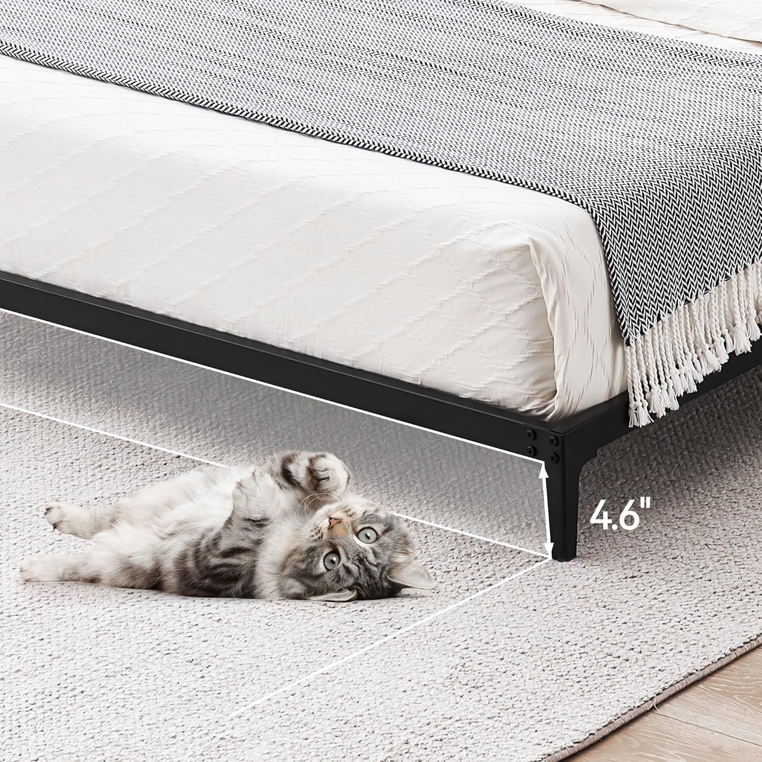 Qeetex LHF-DYQ-PHO-0X3GLND2 beds - View #4