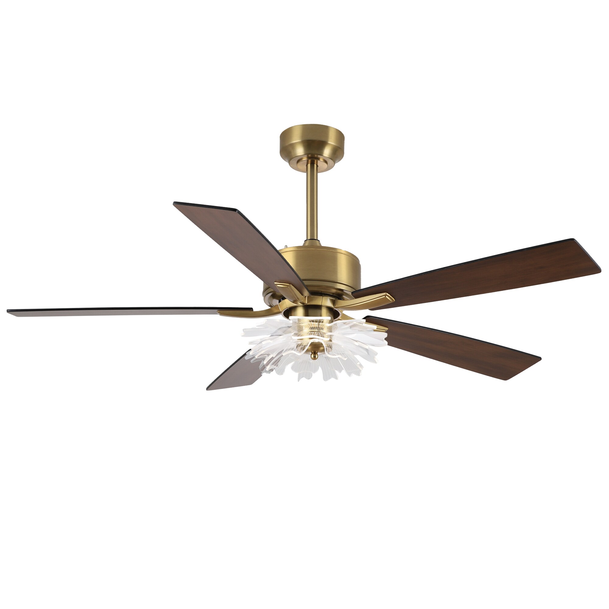 Parrot Uncle F6035GD Ceiling-Fans - View #17