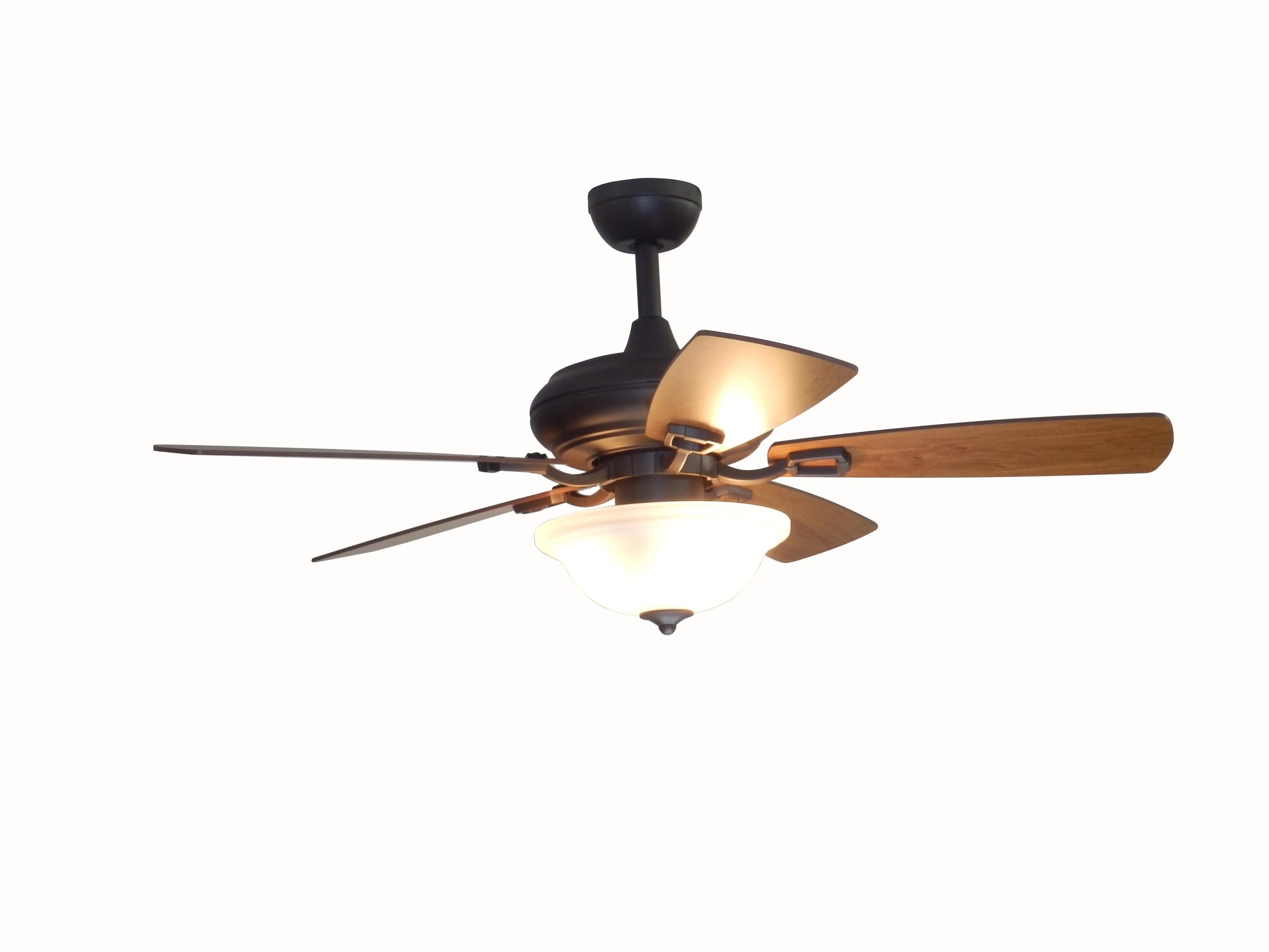 Hampton Bay Miramar 60 In Weathered Bronze Ceiling Fan Manual | Shelly ...