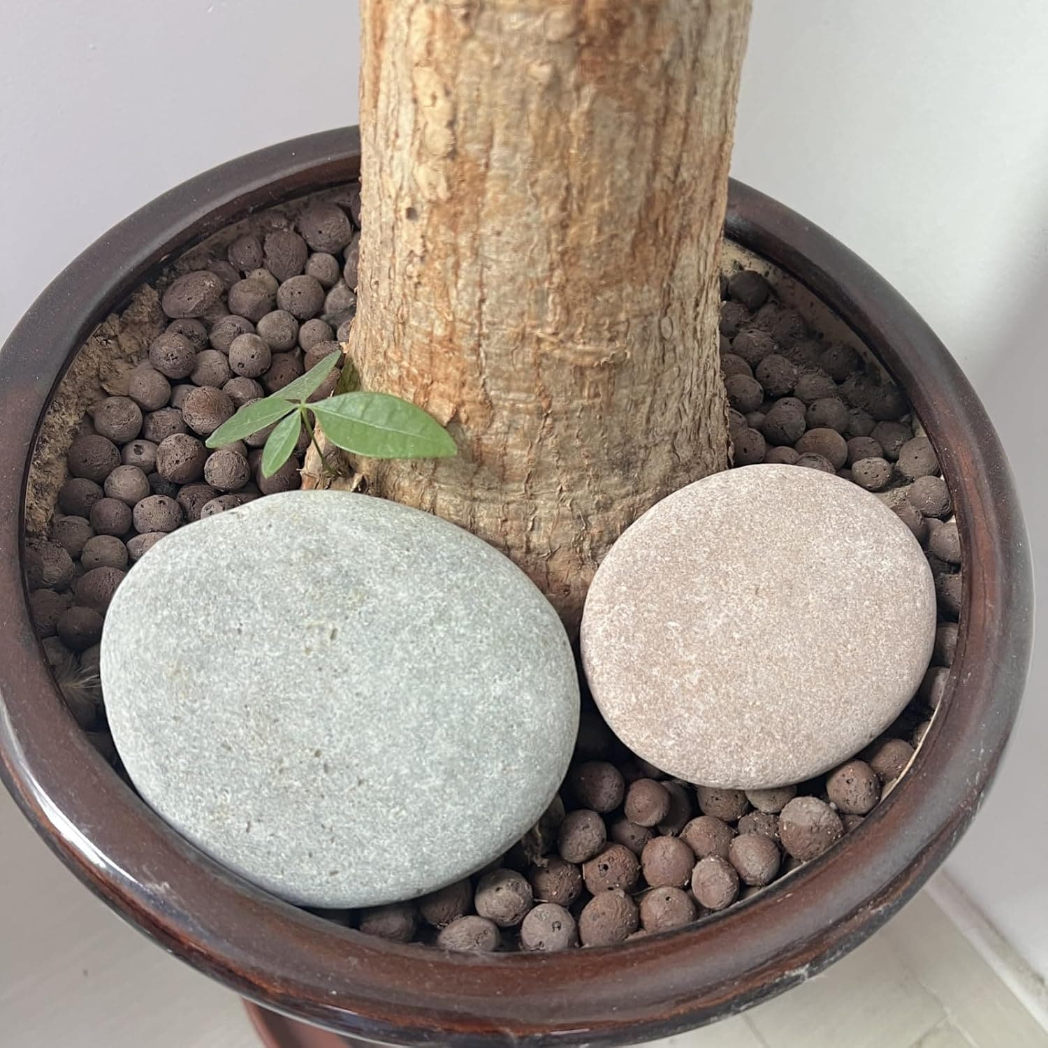 EFCUT B0FBRB663R Edging-Stones - View #4