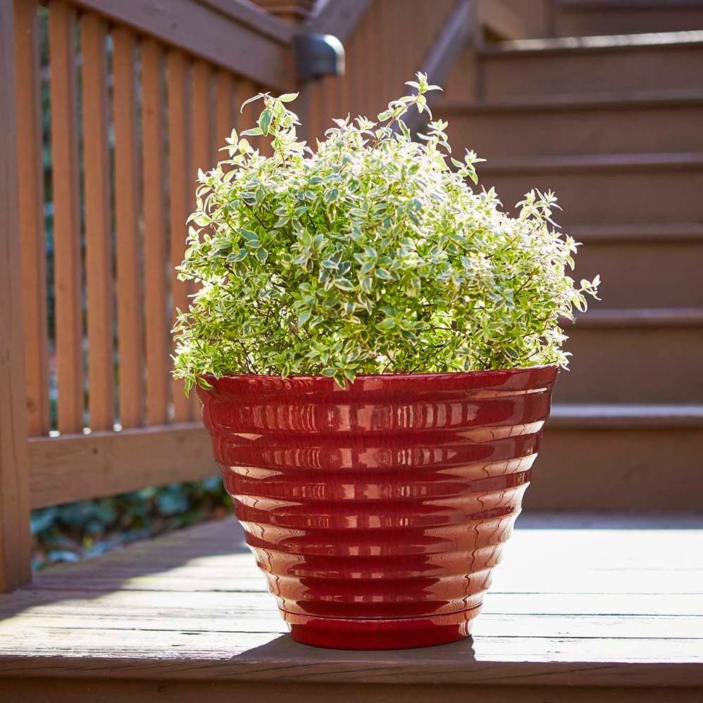 Southern Patio HDR-064763 Planter-Window-Box - View #2