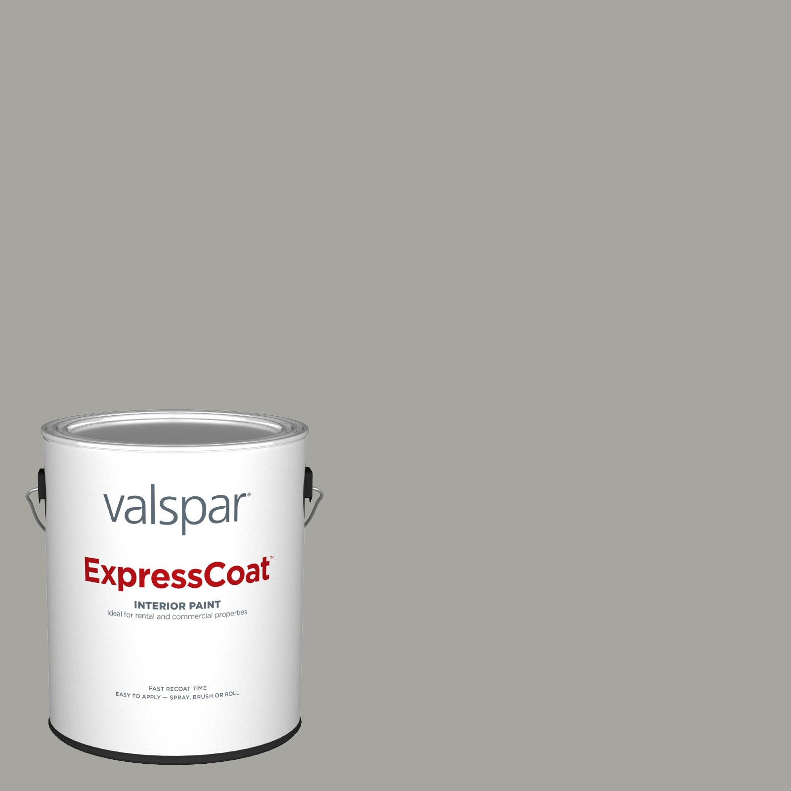 Valspar Pro ExpressCoat Flat Wet Pavement 5006-2a Latex Interior Paint ...