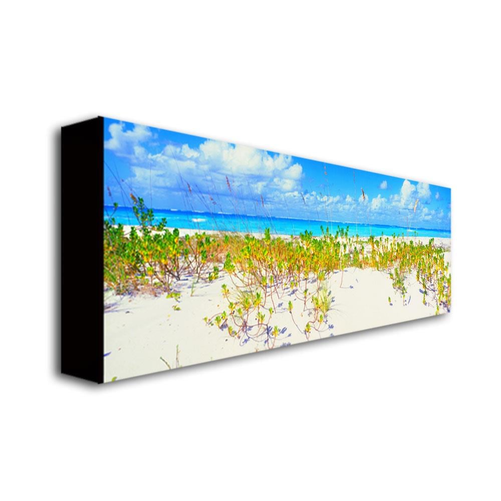 Trademark Fine Art EM286-C1232GG Wall-Art - View #2