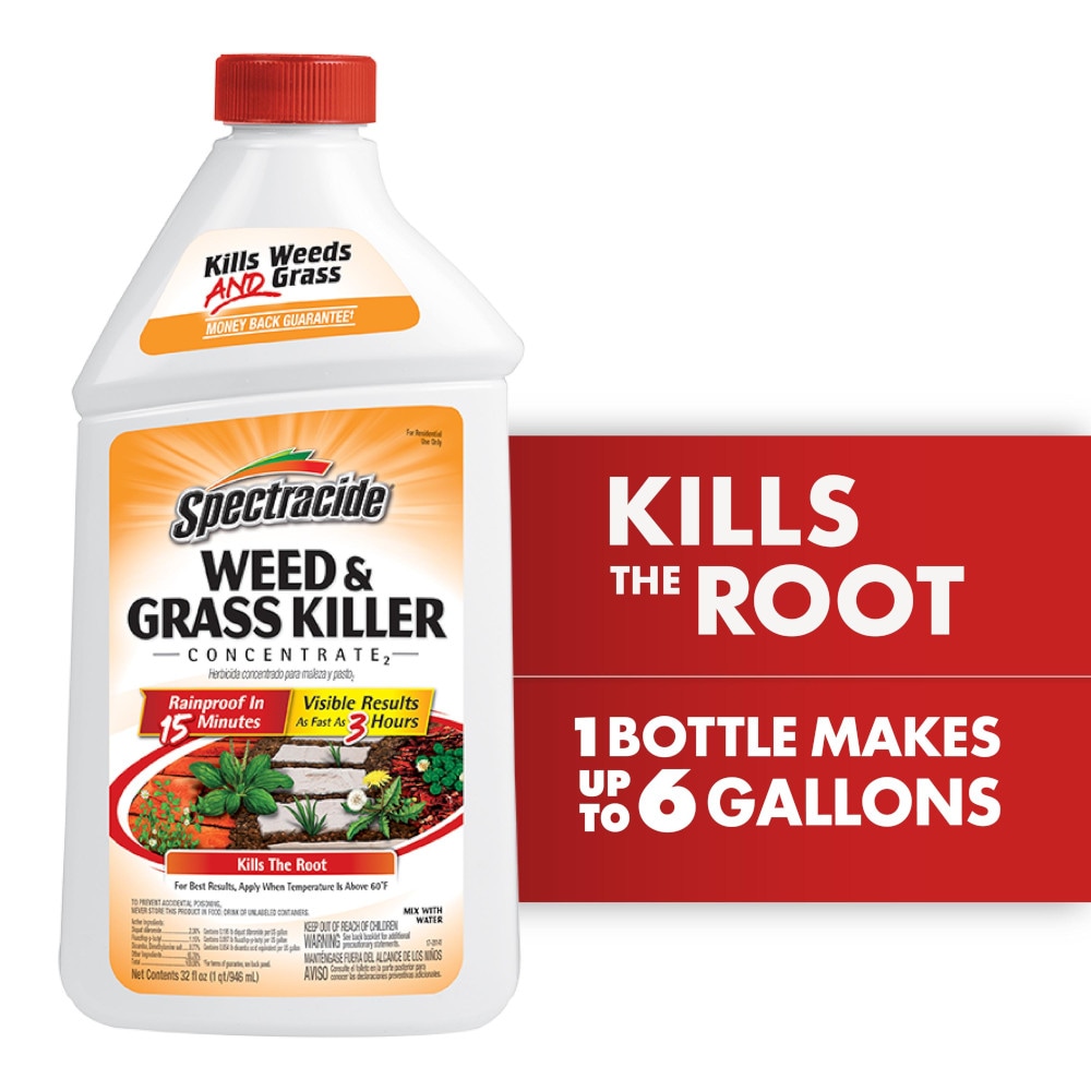 Spectracide HG-96009 32 -fl oz Concentrate Weed and grass killer
