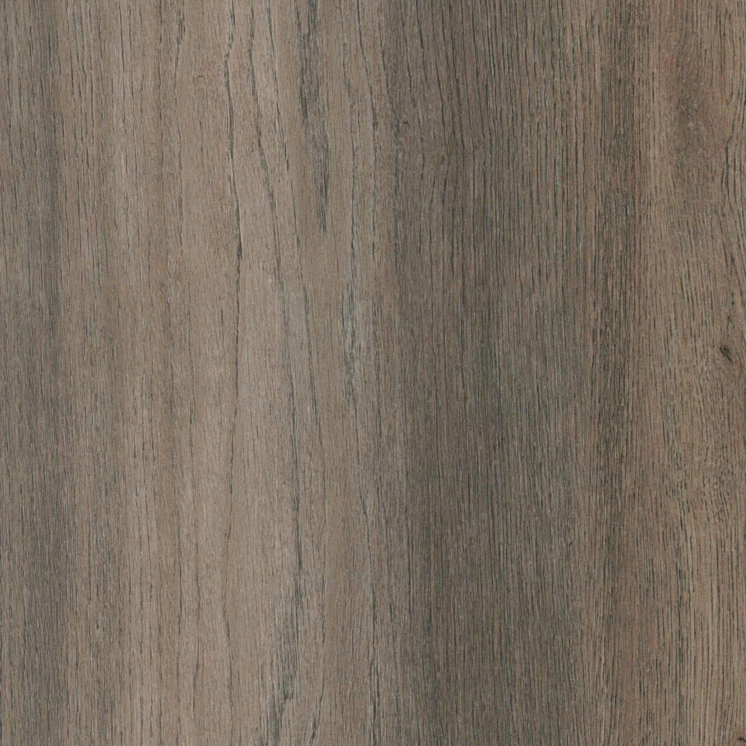 CALI 7902600812 Floor-Moulding - View #4