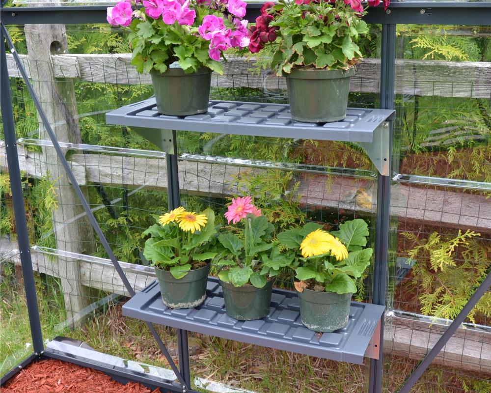 PVC Canopia by Greenhouse Greenhouse shelf Twin Accessories Shelf greenhouse in 2-Pack at Palram the department