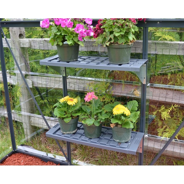 Canopia By Palram 2 Pack Twin Shelf, Greenhouse Shelving Systems Pdf