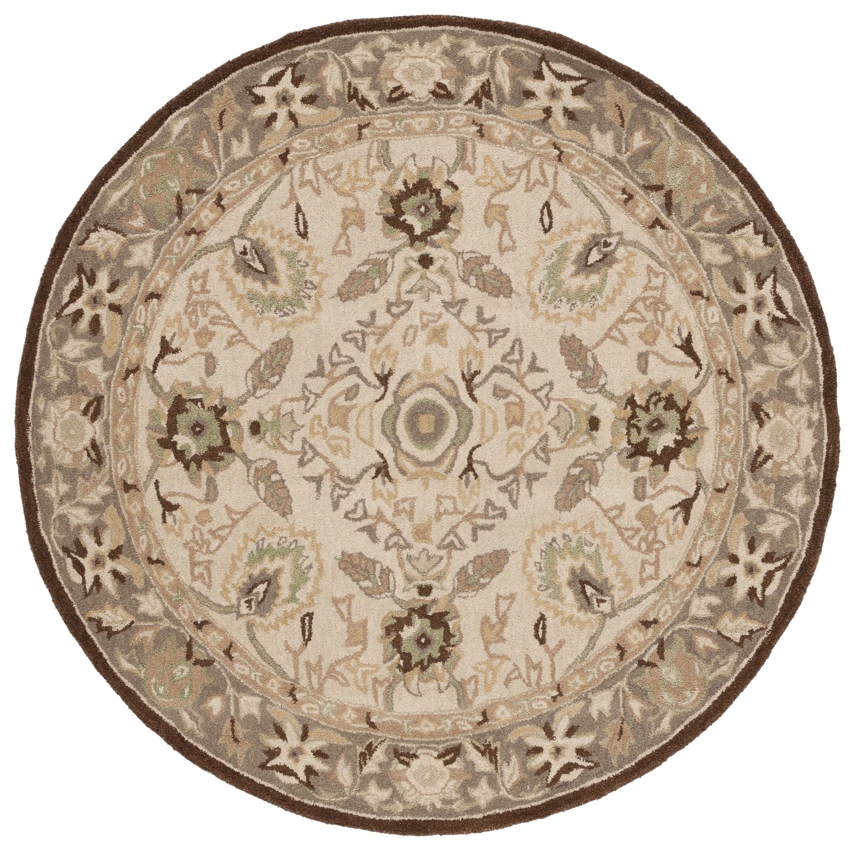 Safavieh AN512D-6R rugs - View #2