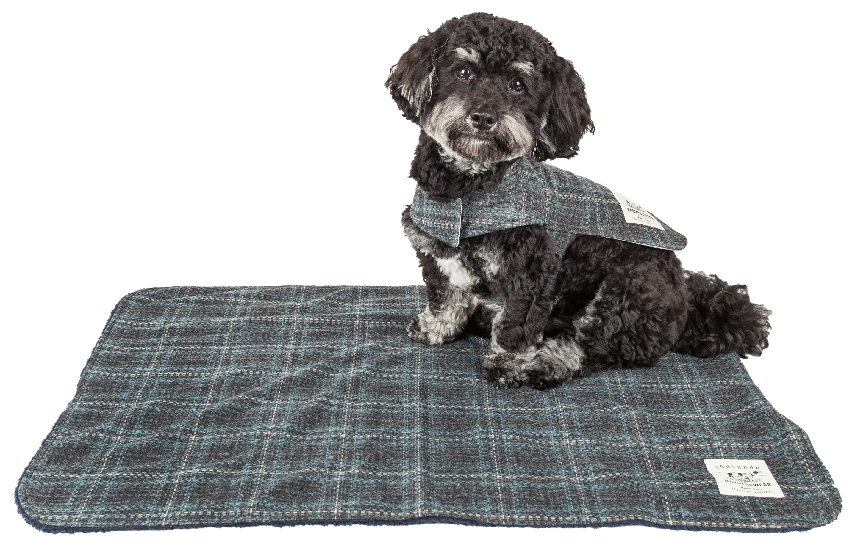 Touchdog JB2GYBXS Dog-Apparel - View #2