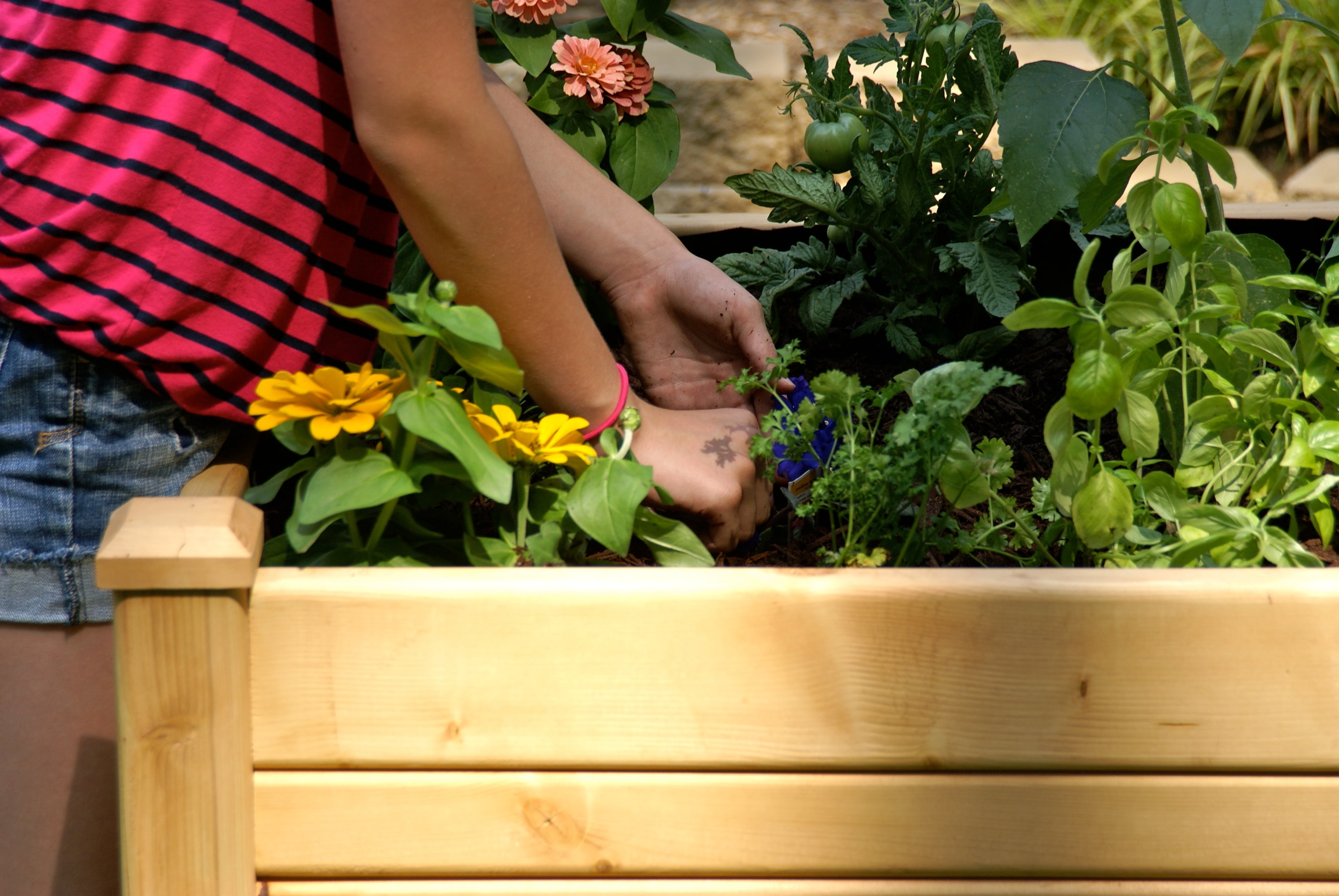 Eden RGT-23 Raised-Planter-Boxes - View #3