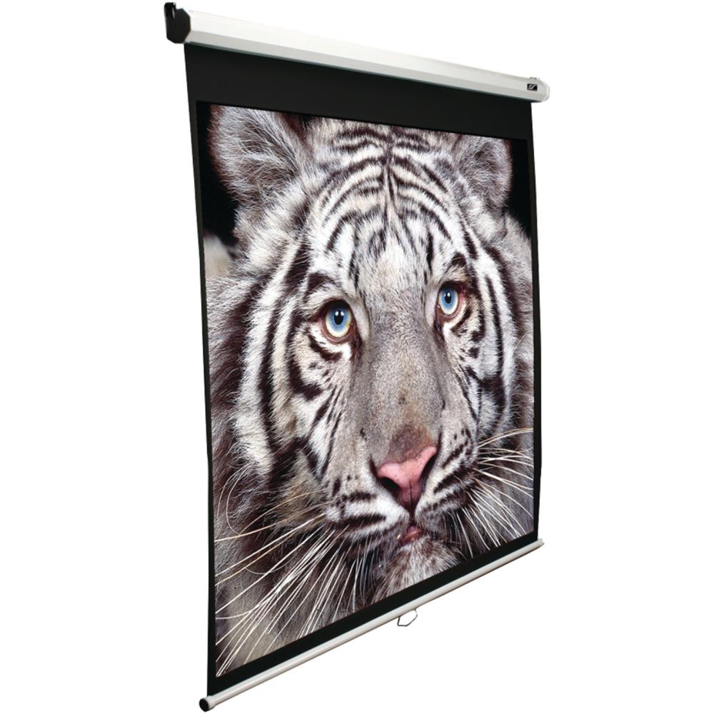 Elite Screens M100S 77.1-in L x 2.8-in W x 79.4-in H Indoor Movie Screen