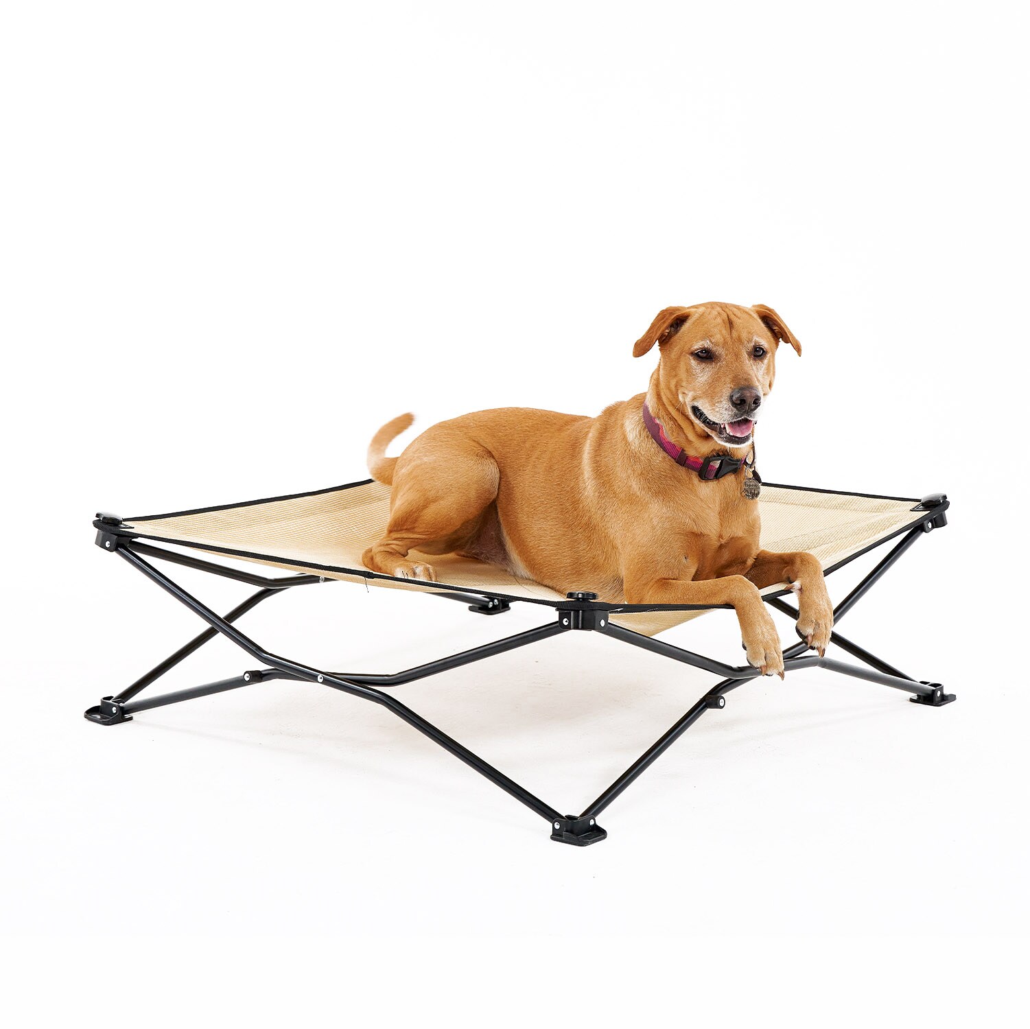 Coolaroo dog bed best sale