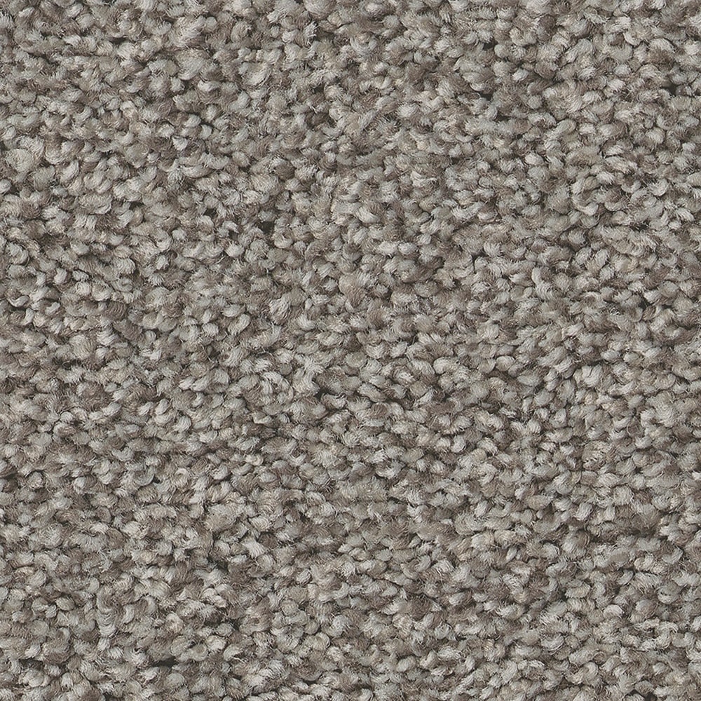 STAINMASTER 7L878 - 744 - SAMP (Sample) Ready 2 Play I Doodle Brown 45.8-oz sq yard Nylon Textured Indoor Carpet