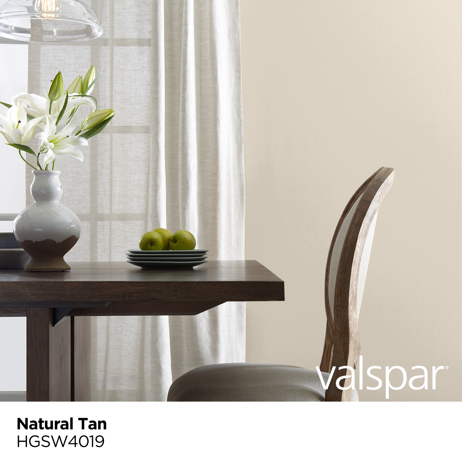 Valspar Signature Eggshell Natural Tan Hgsw4019 Latex Interior Paint +  Primer (1-quart) at