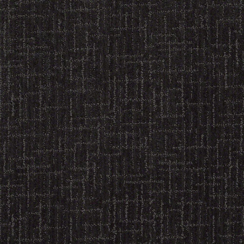 STAINMASTER 7L63000348 Unquestionable Magic Night Berber/Loop Interior Carpet
